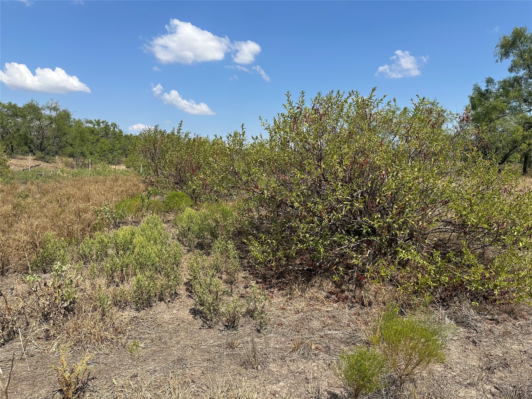 952 Pr 2179 Wingate TX 79566