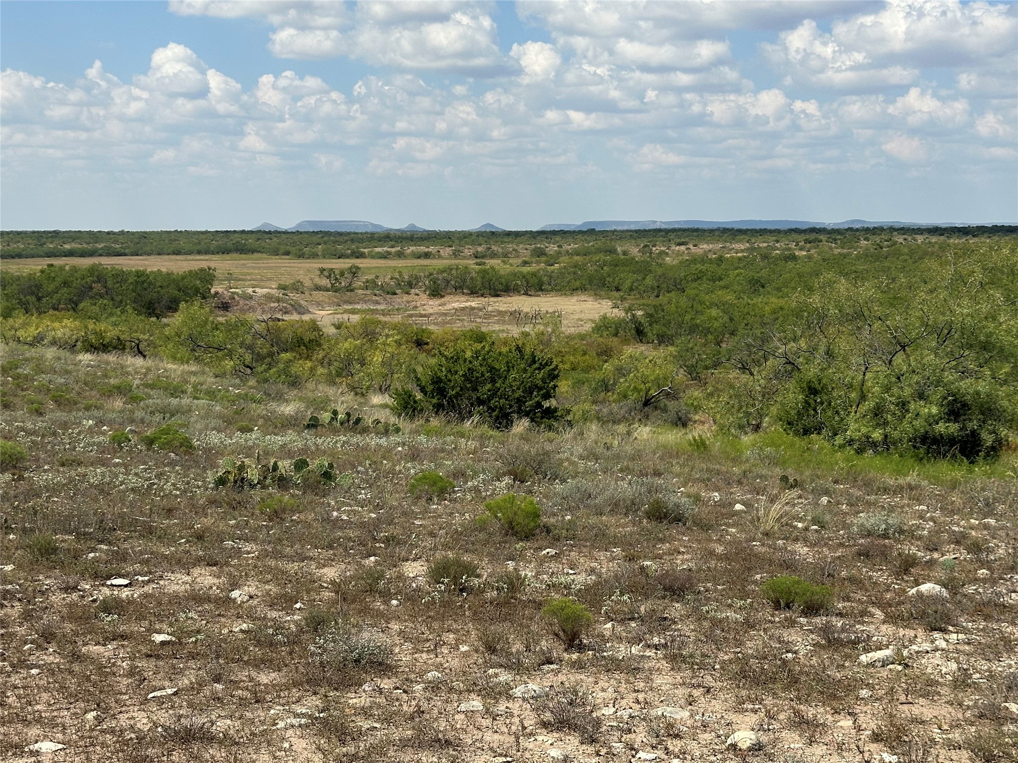 952 Pr 2179 Wingate TX 79566