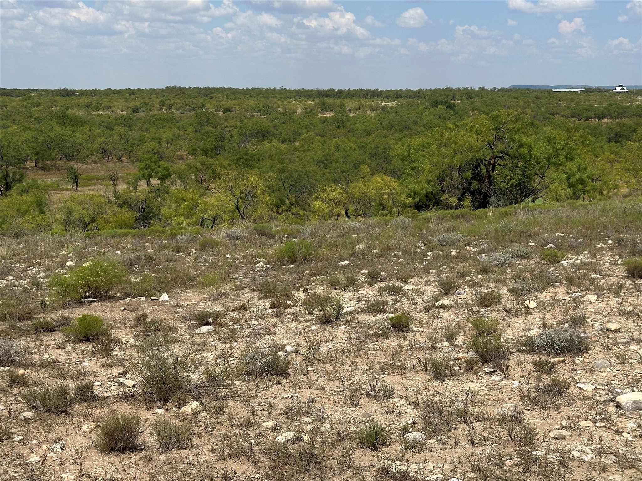 952 Pr 2179 Wingate TX 79566