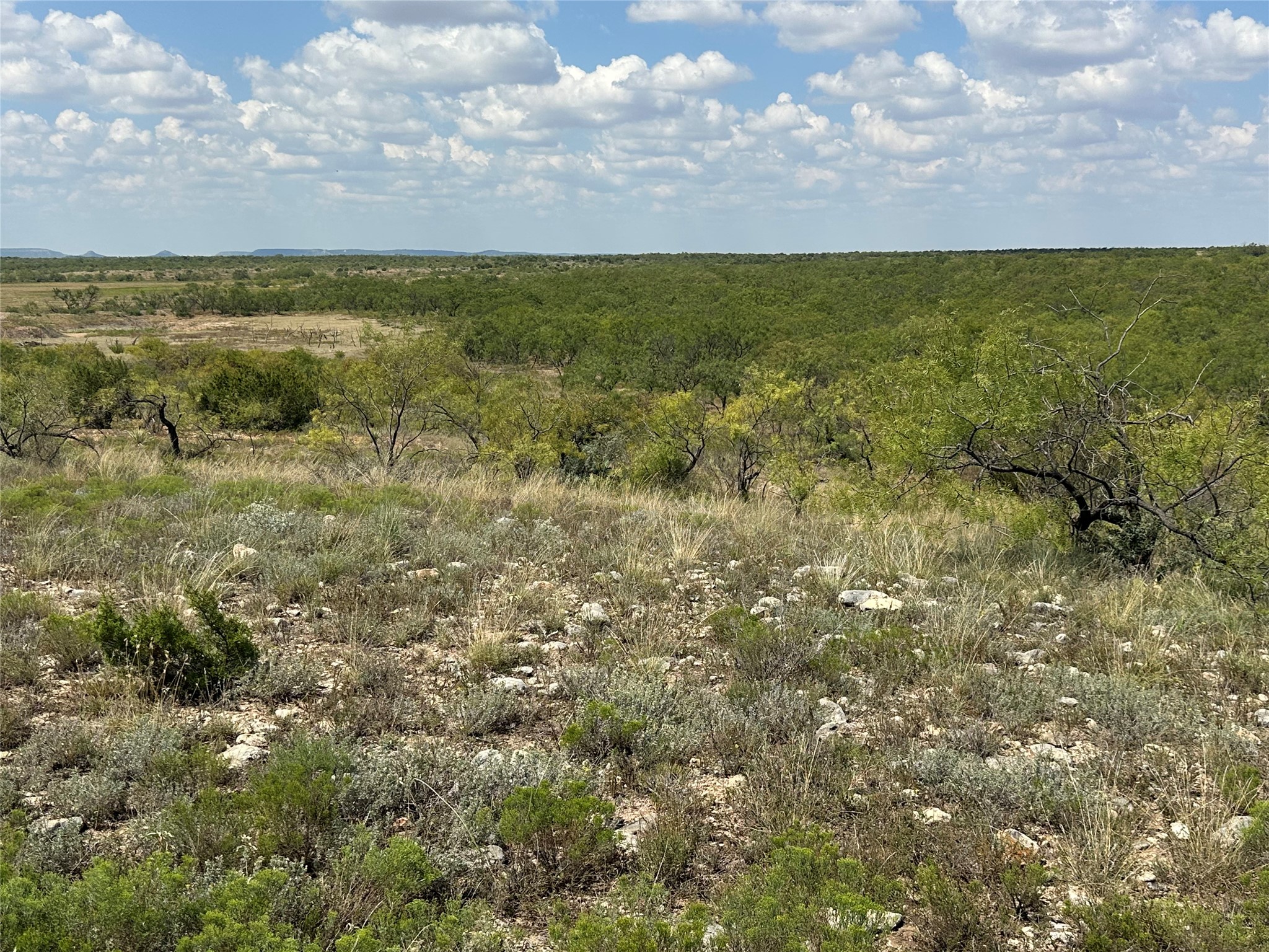 952 Pr 2179 Wingate TX 79566