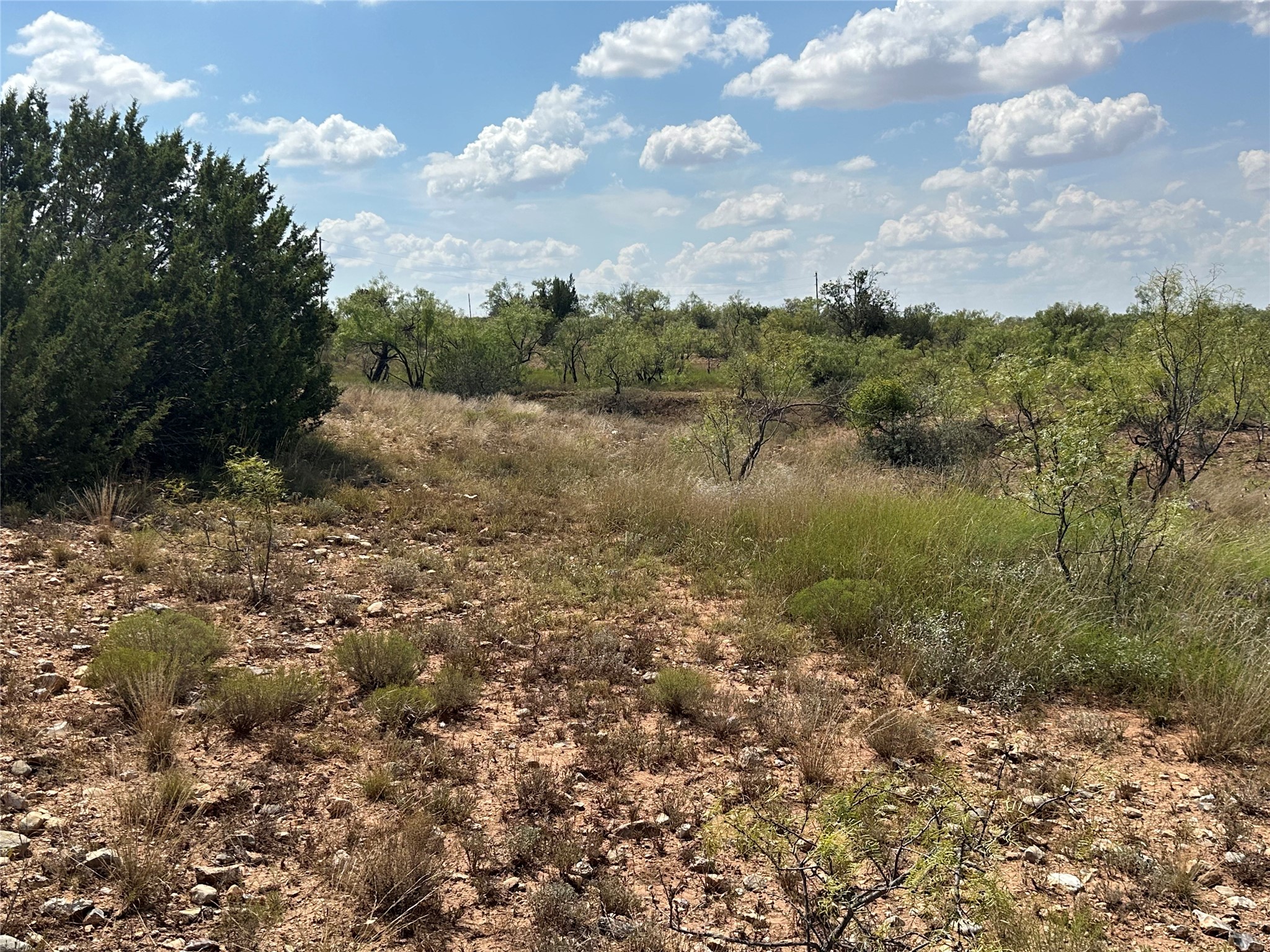 952 Pr 2179 Wingate TX 79566