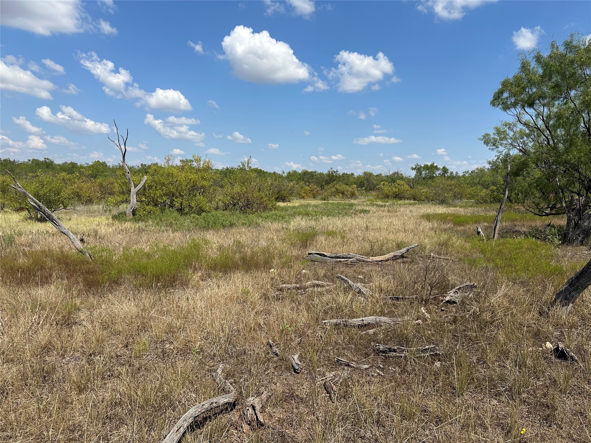 952 Pr 2179 Wingate TX 79566