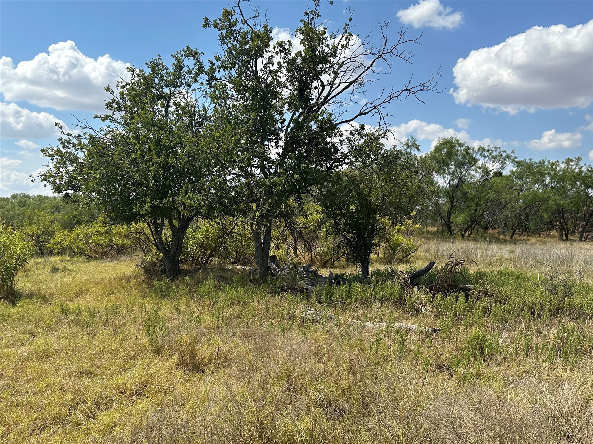 952 Pr 2179 Wingate TX 79566