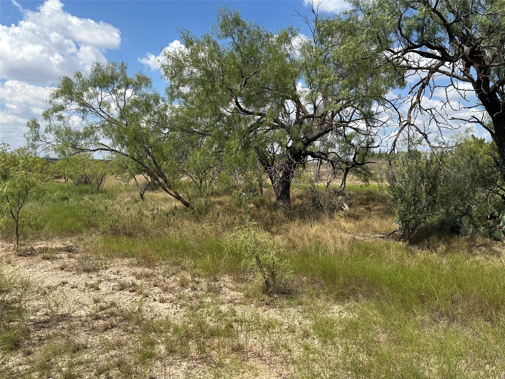 952 Pr 2179 Wingate TX 79566