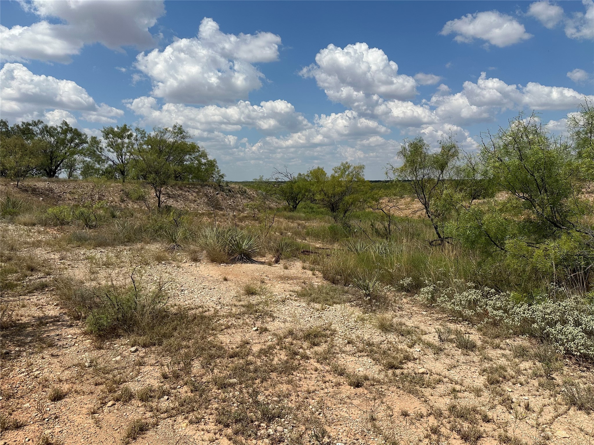 952 Pr 2179 Wingate TX 79566
