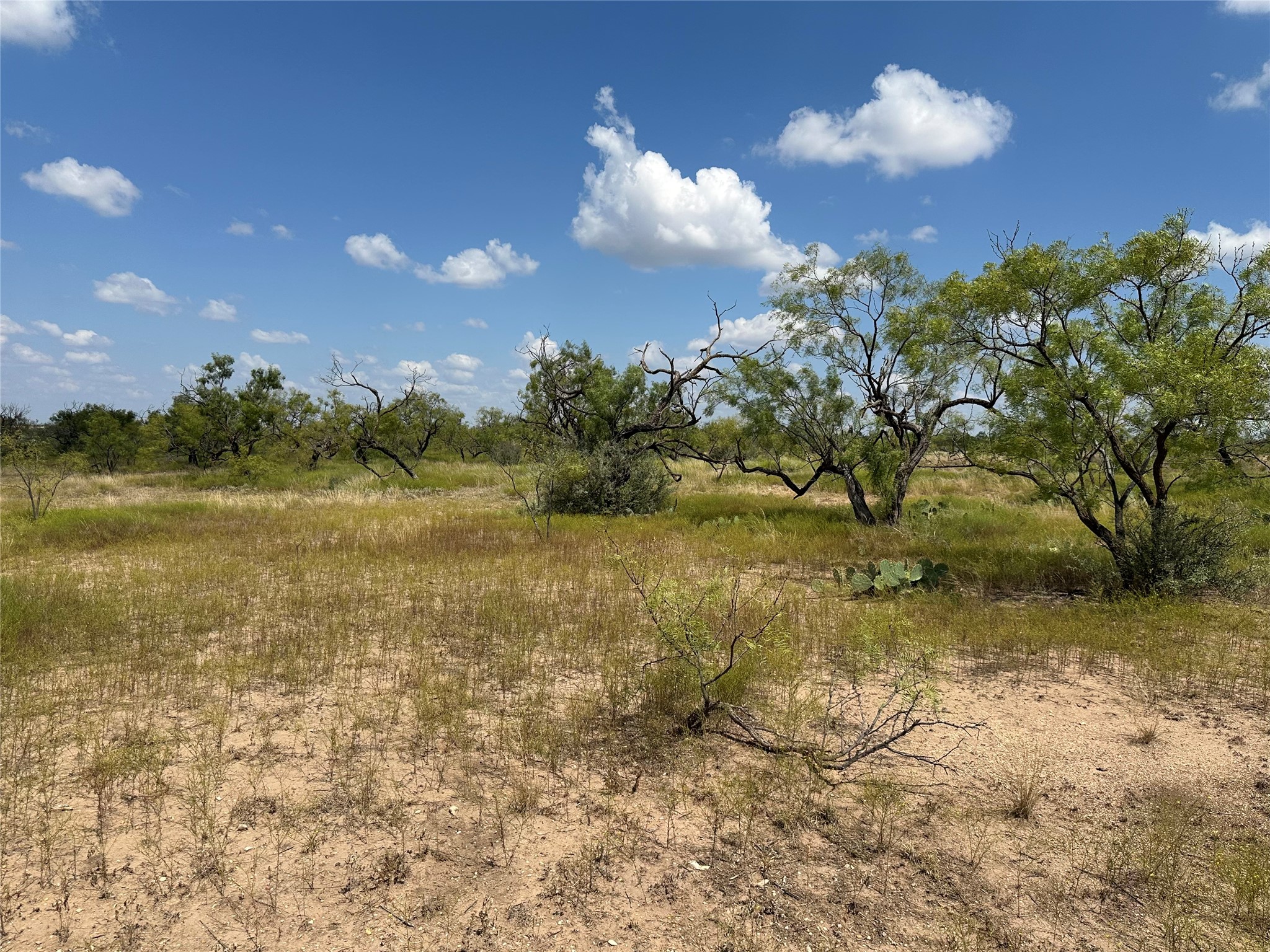 952 Pr 2179 Wingate TX 79566