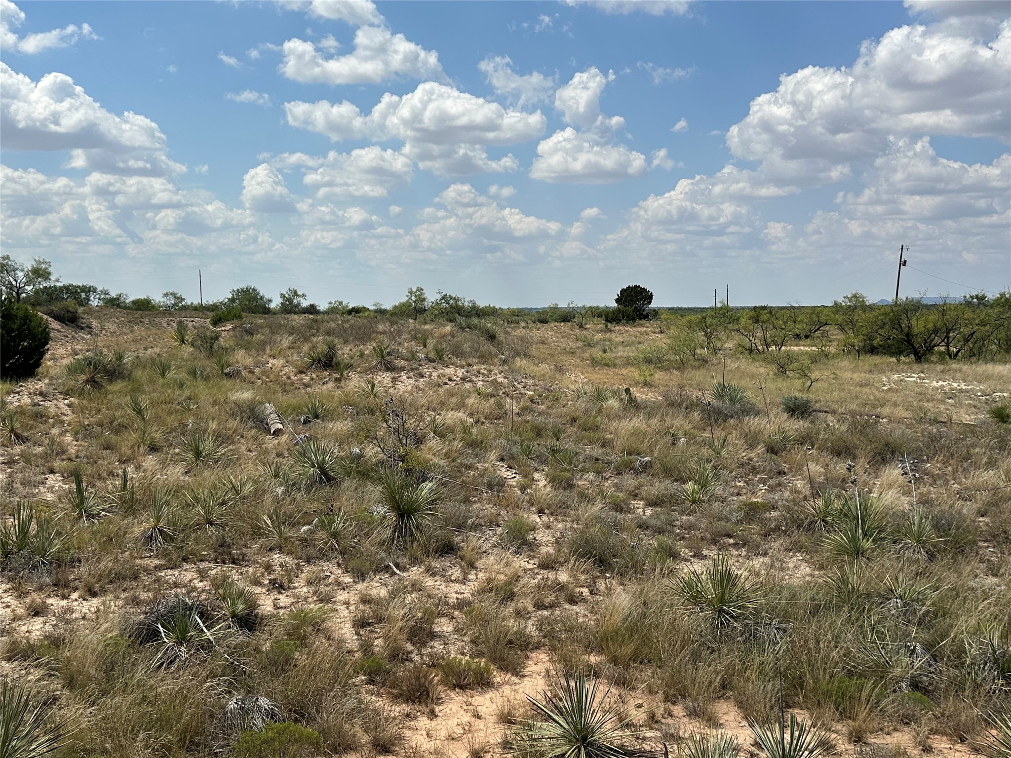 952 Pr 2179 Wingate TX 79566