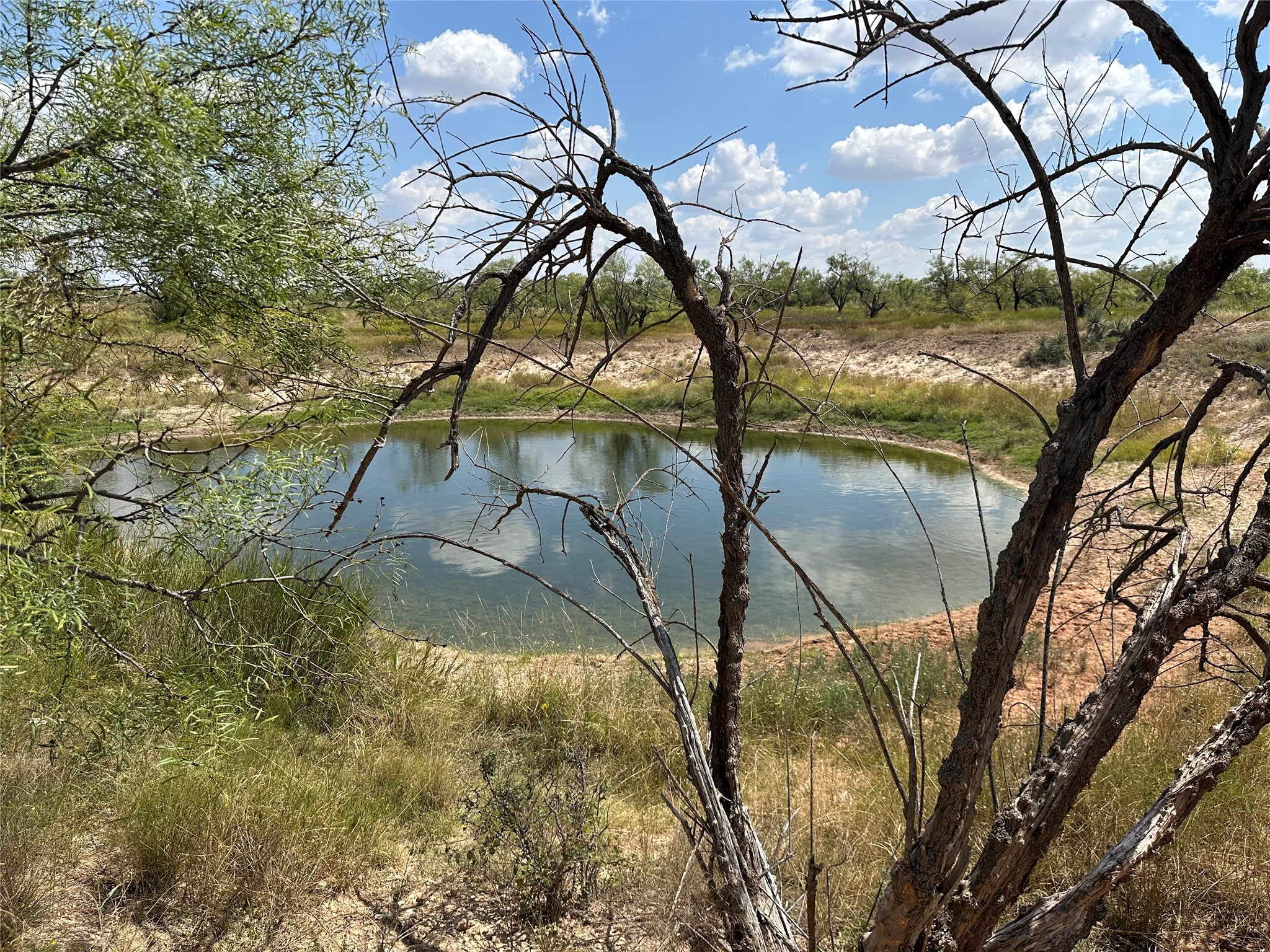 952 Pr 2179 Wingate TX 79566