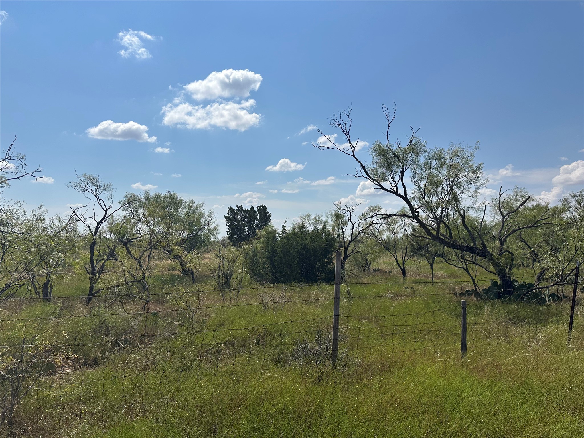 952 Pr 2179 Wingate TX 79566