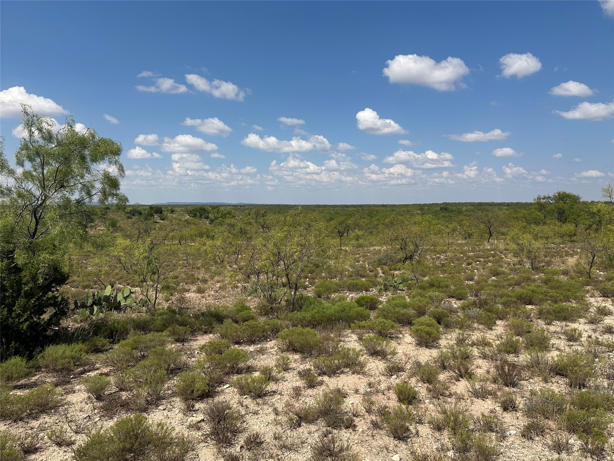 952 Pr 2179 Wingate TX 79566