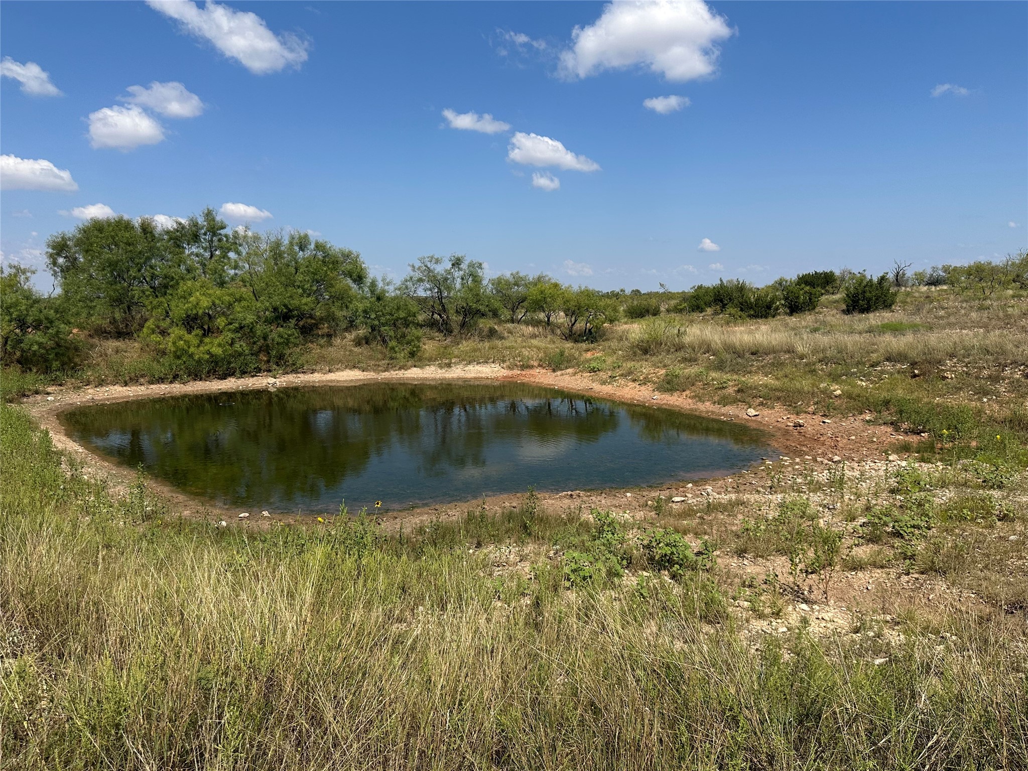 952 Pr 2179 Wingate TX 79566