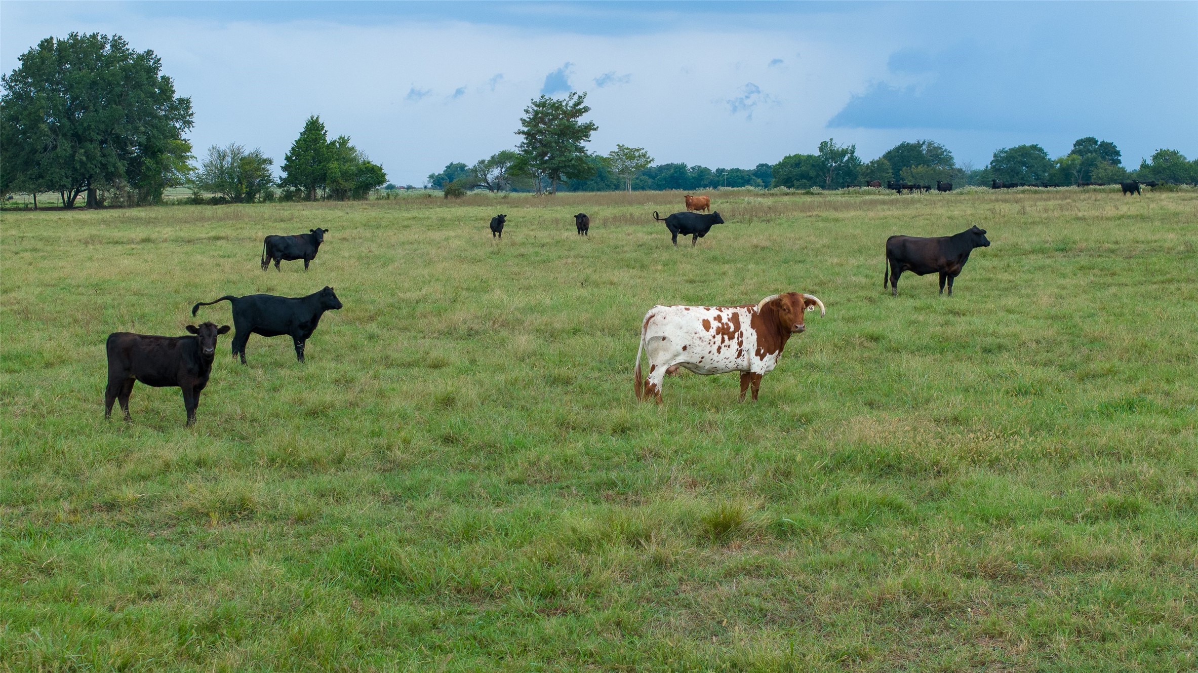 Fm 1510 82 W Brookston TX 75421