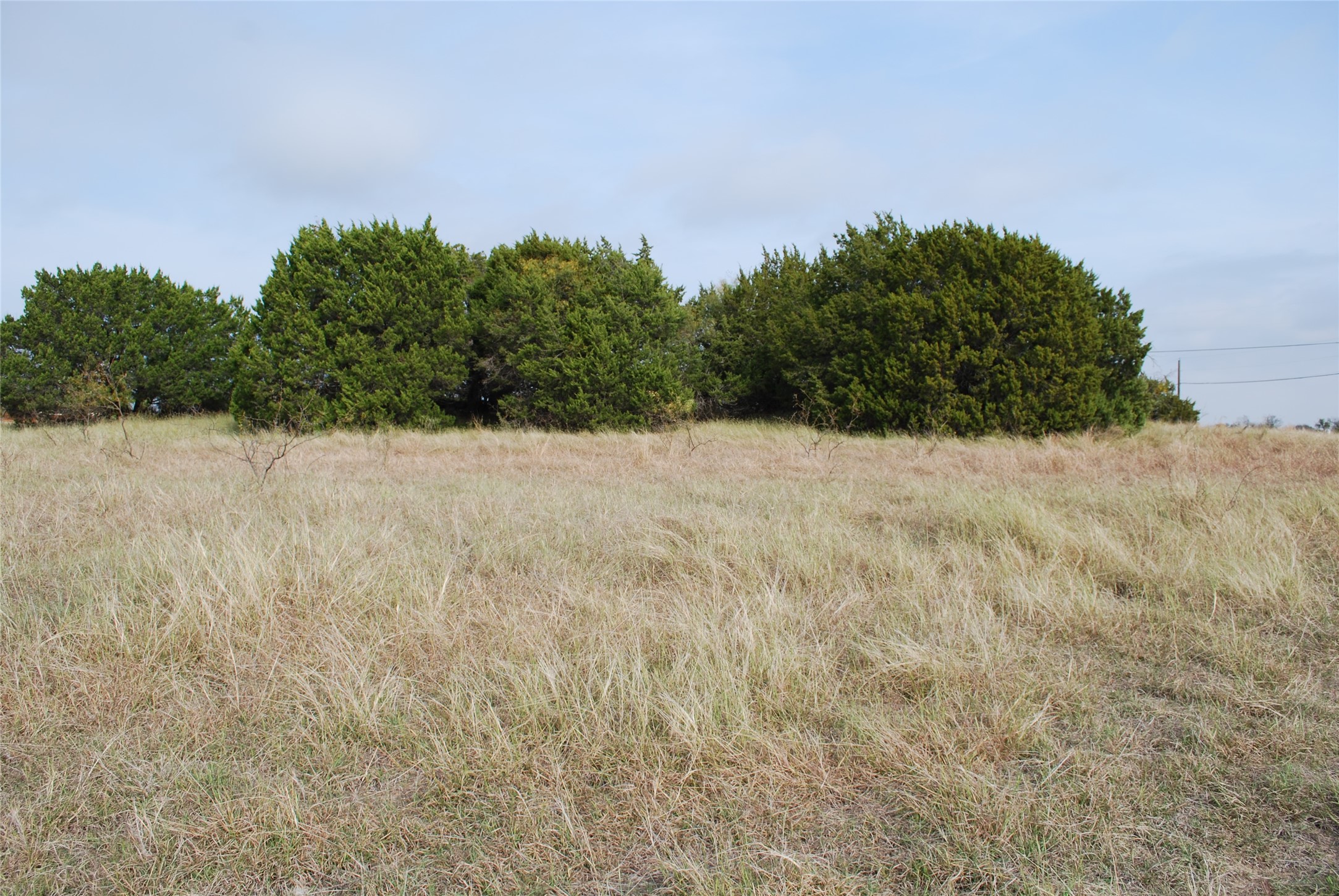 19090 White Bluff Drive Whitney TX 76692