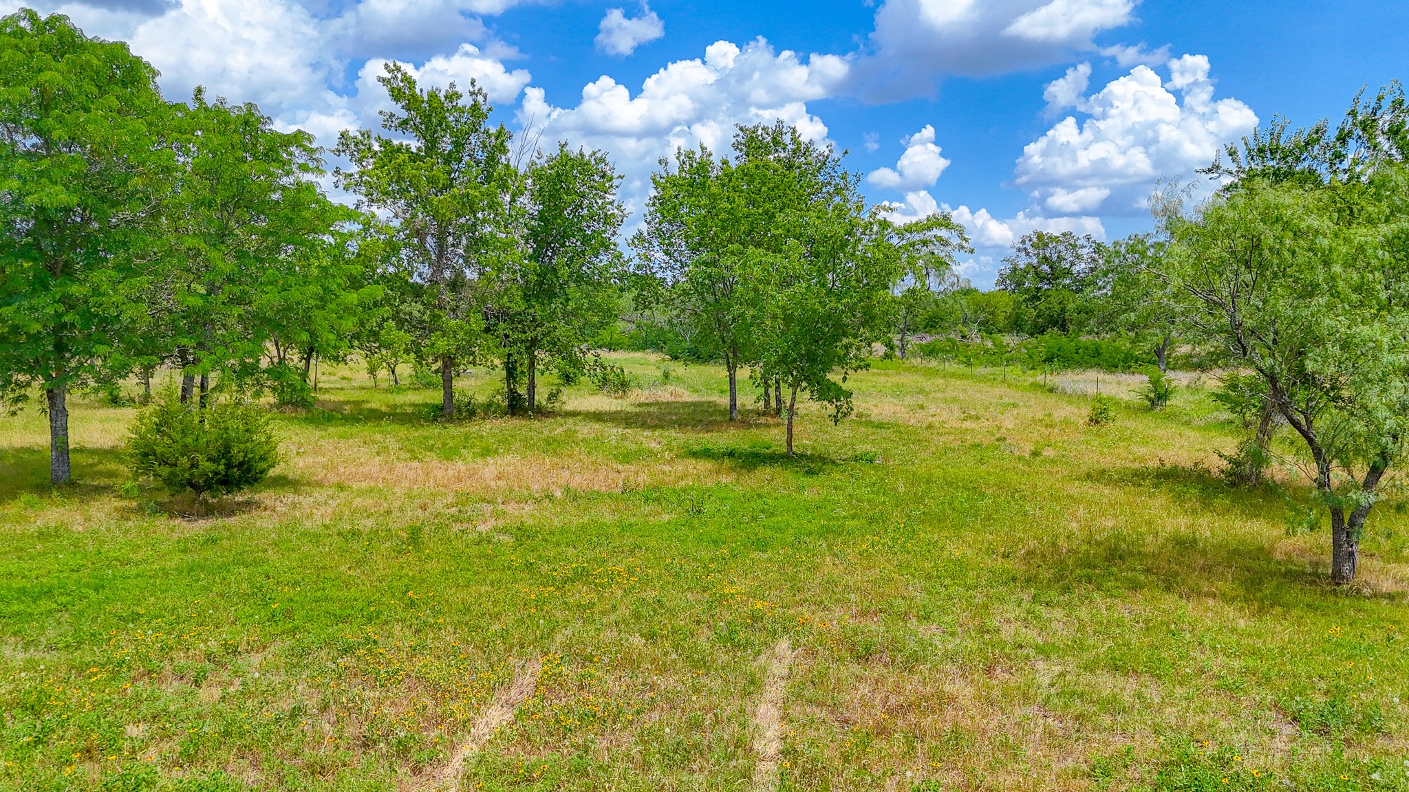 Lot 123 Palmito Ranch Road Corsicana TX 75110