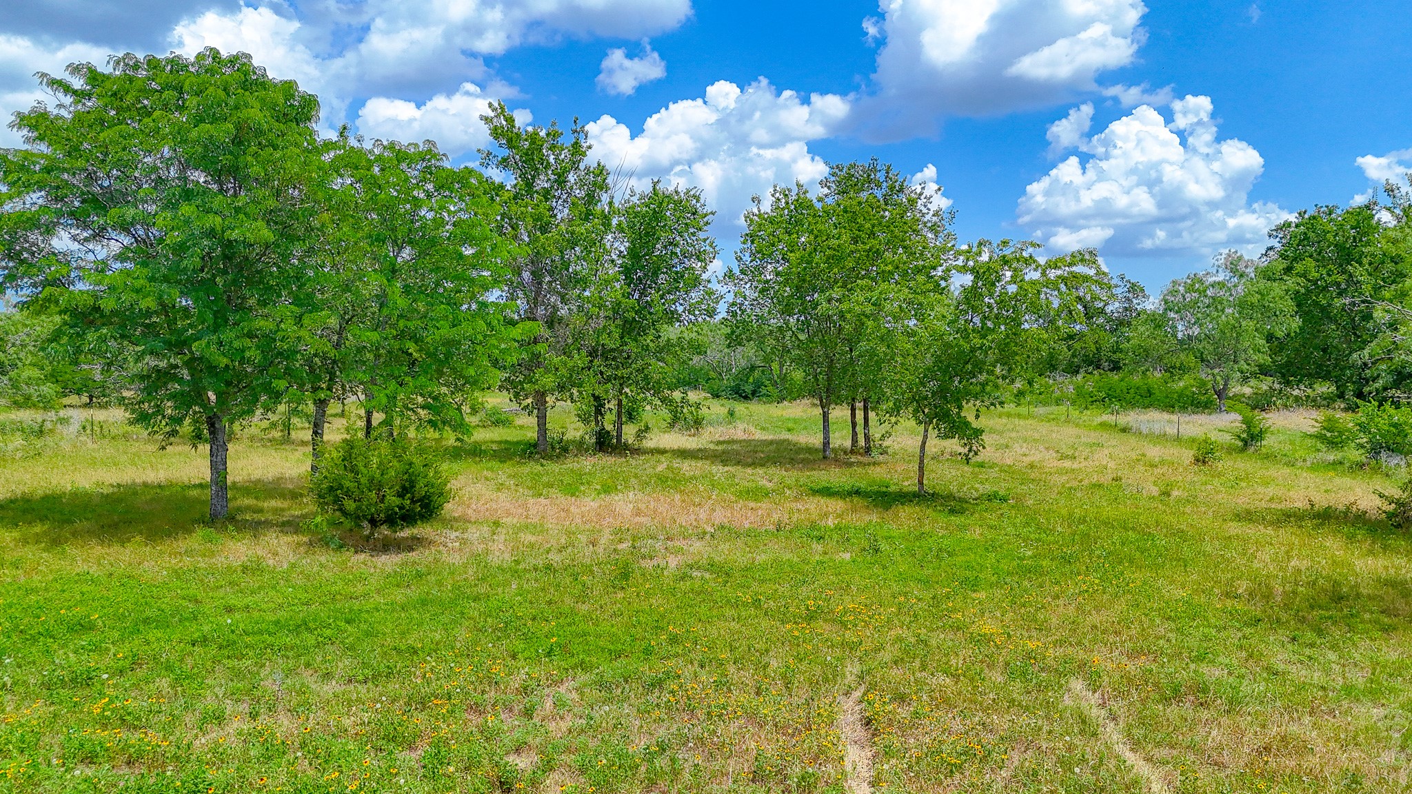 Lot 123 Palmito Ranch Road Corsicana TX 75110