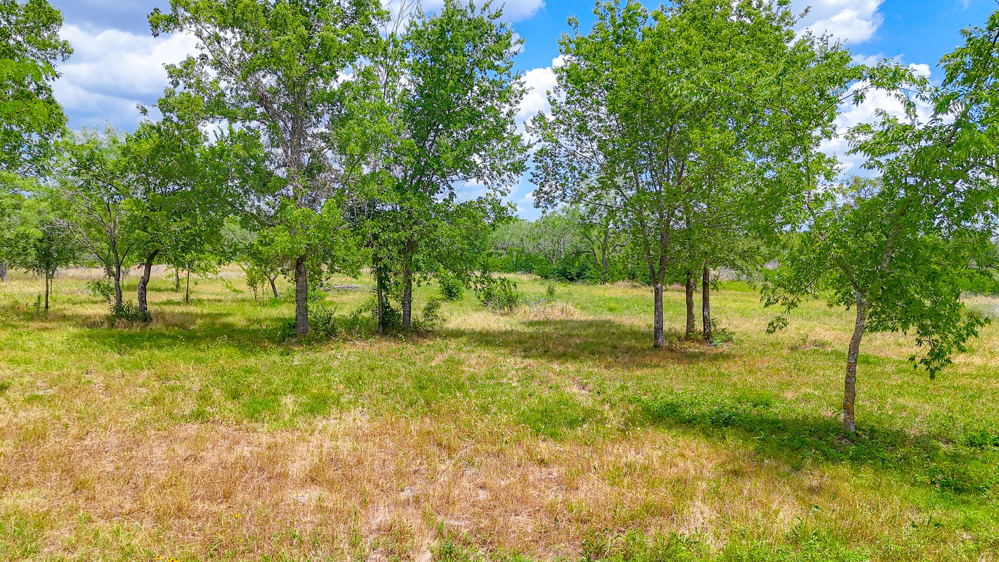 Lot 123 Palmito Ranch Road Corsicana TX 75110