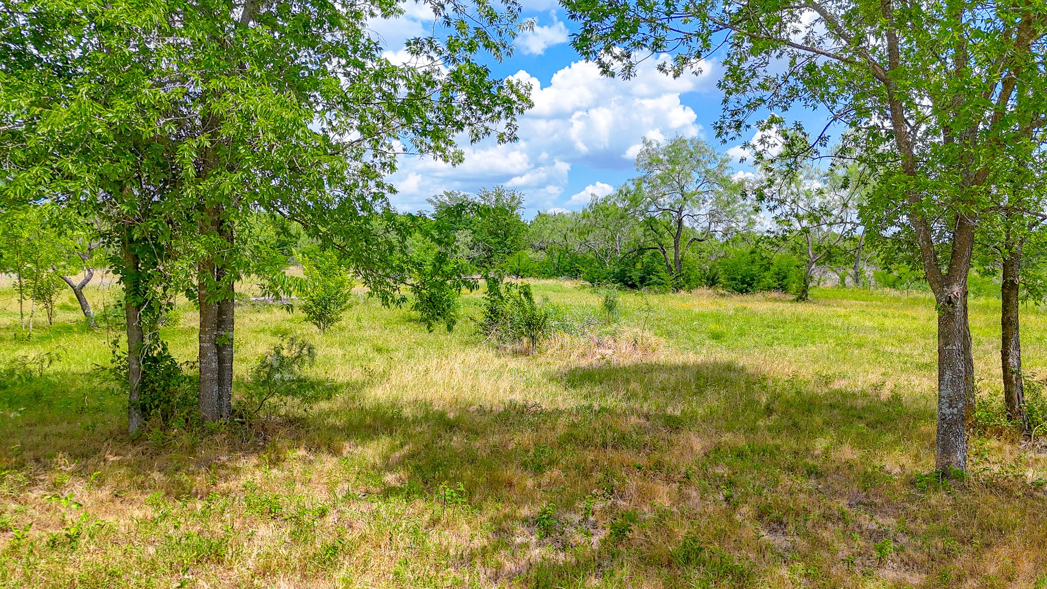 Lot 123 Palmito Ranch Road Corsicana TX 75110