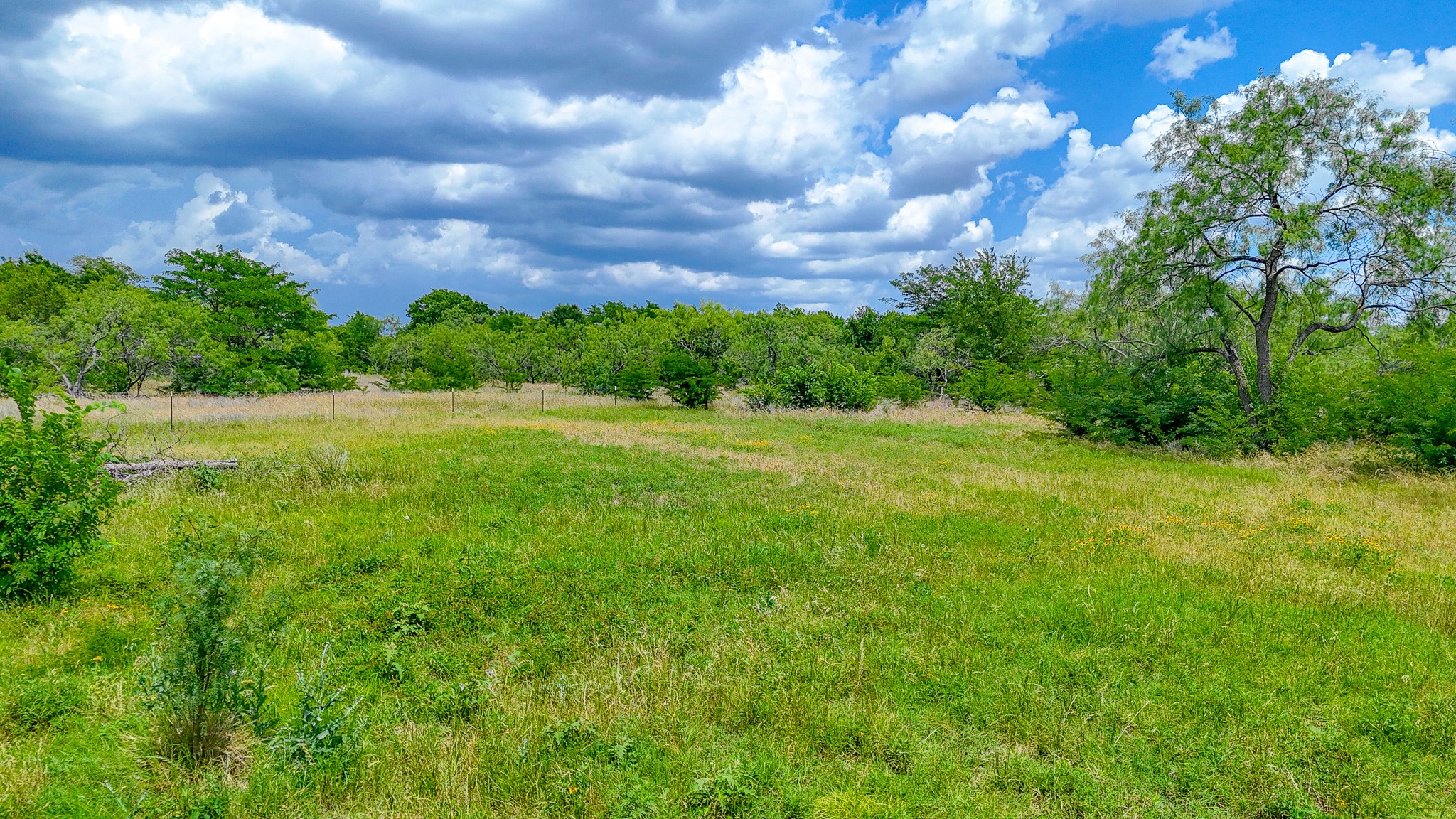 Lot 123 Palmito Ranch Road Corsicana TX 75110