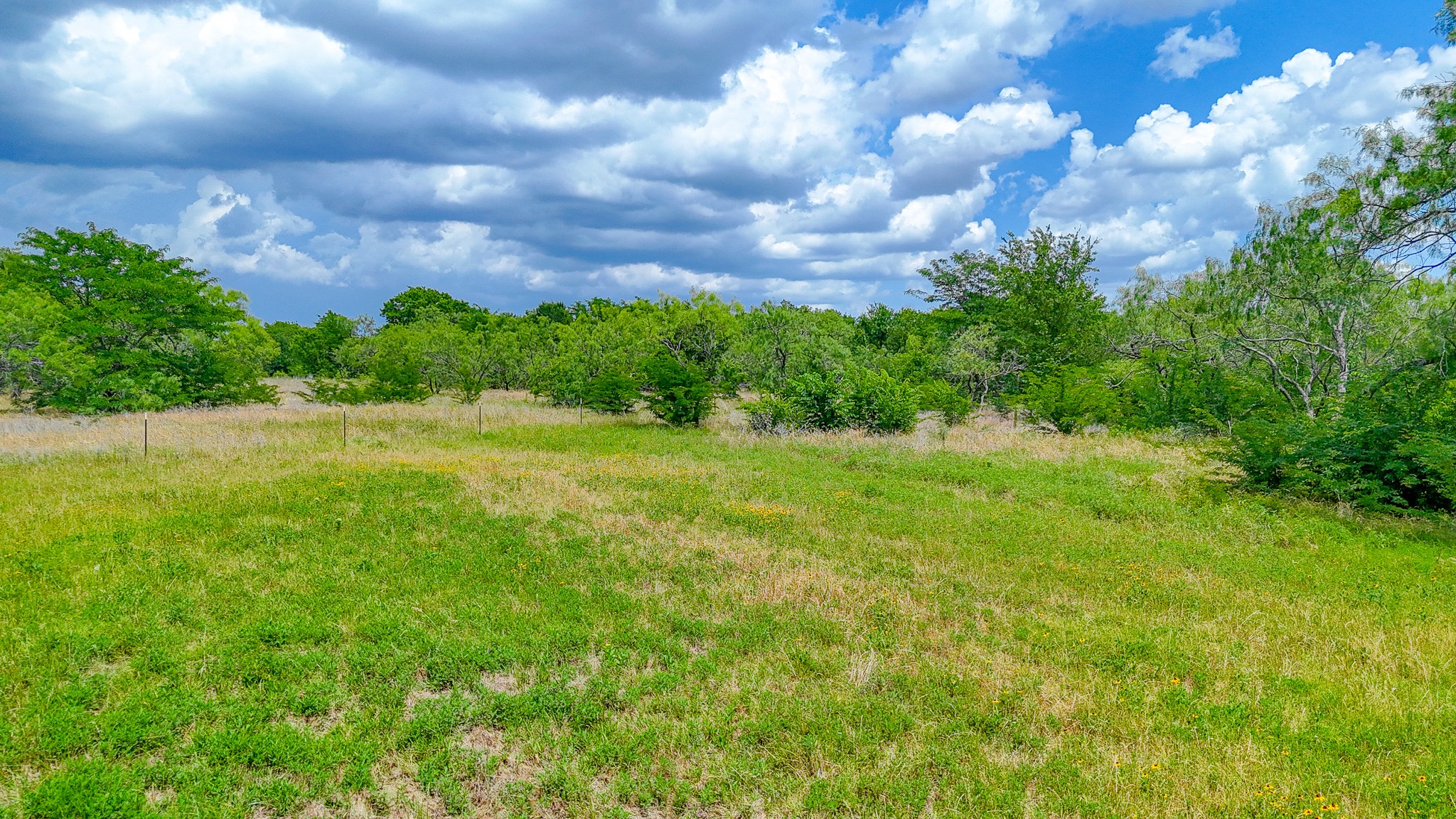 Lot 123 Palmito Ranch Road Corsicana TX 75110