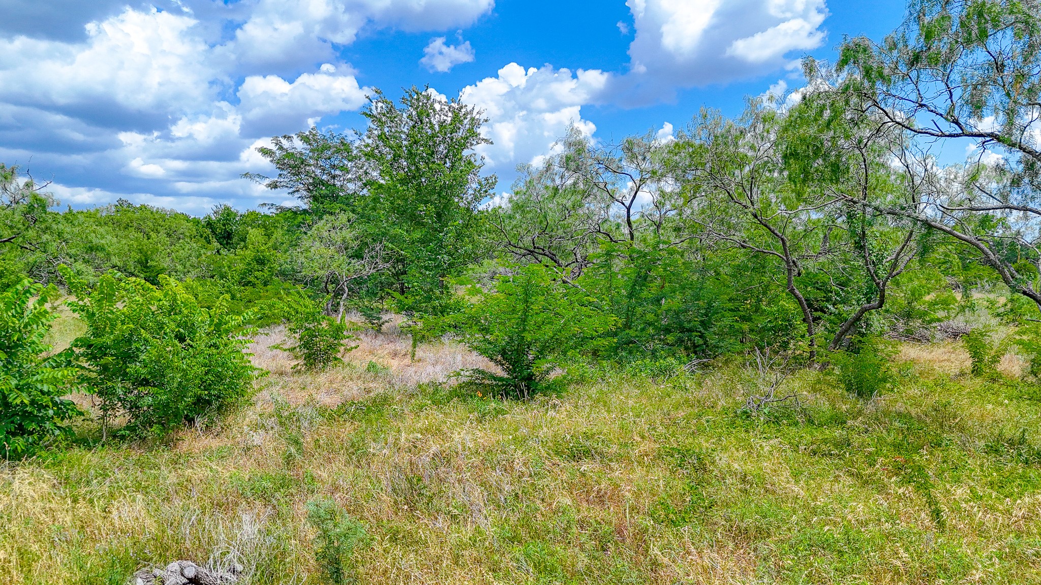 Lot 123 Palmito Ranch Road Corsicana TX 75110