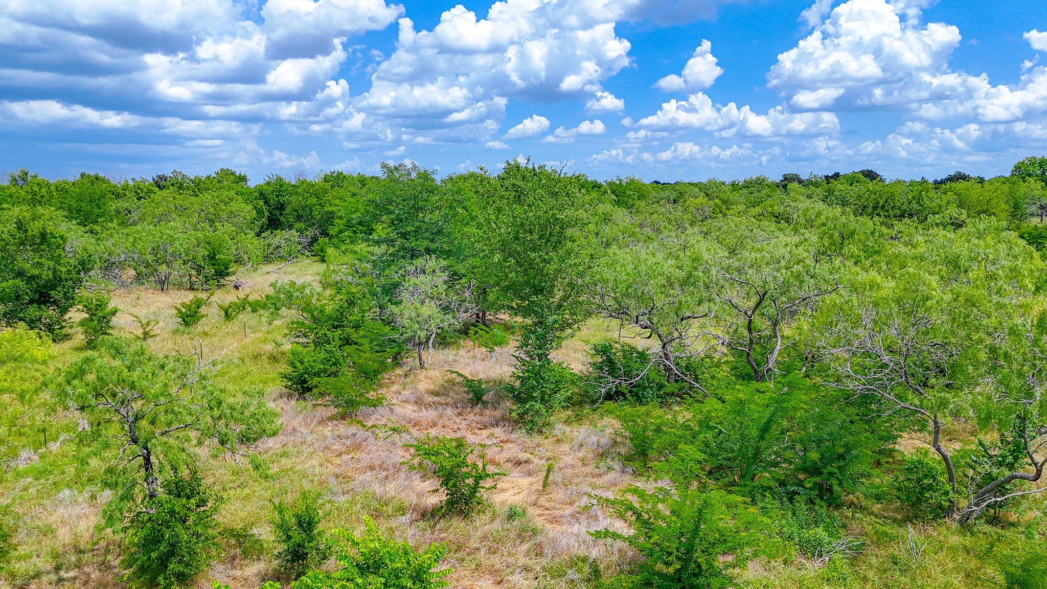 Lot 123 Palmito Ranch Road Corsicana TX 75110