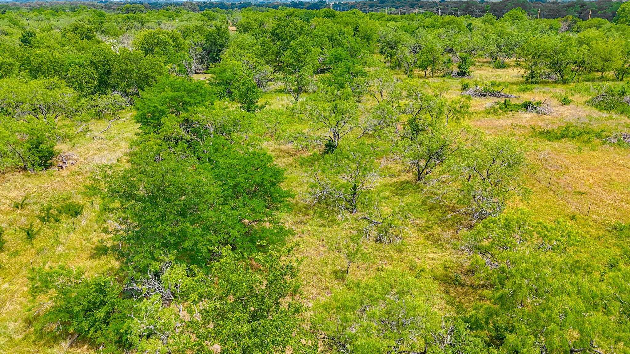 Lot 123 Palmito Ranch Road Corsicana TX 75110