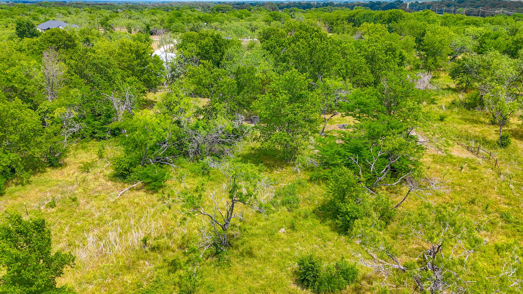 Lot 123 Palmito Ranch Road Corsicana TX 75110