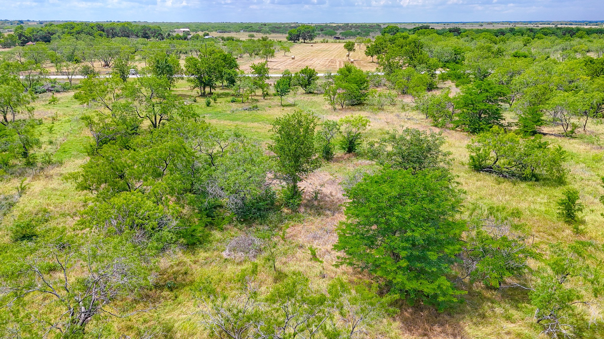 Lot 123 Palmito Ranch Road Corsicana TX 75110