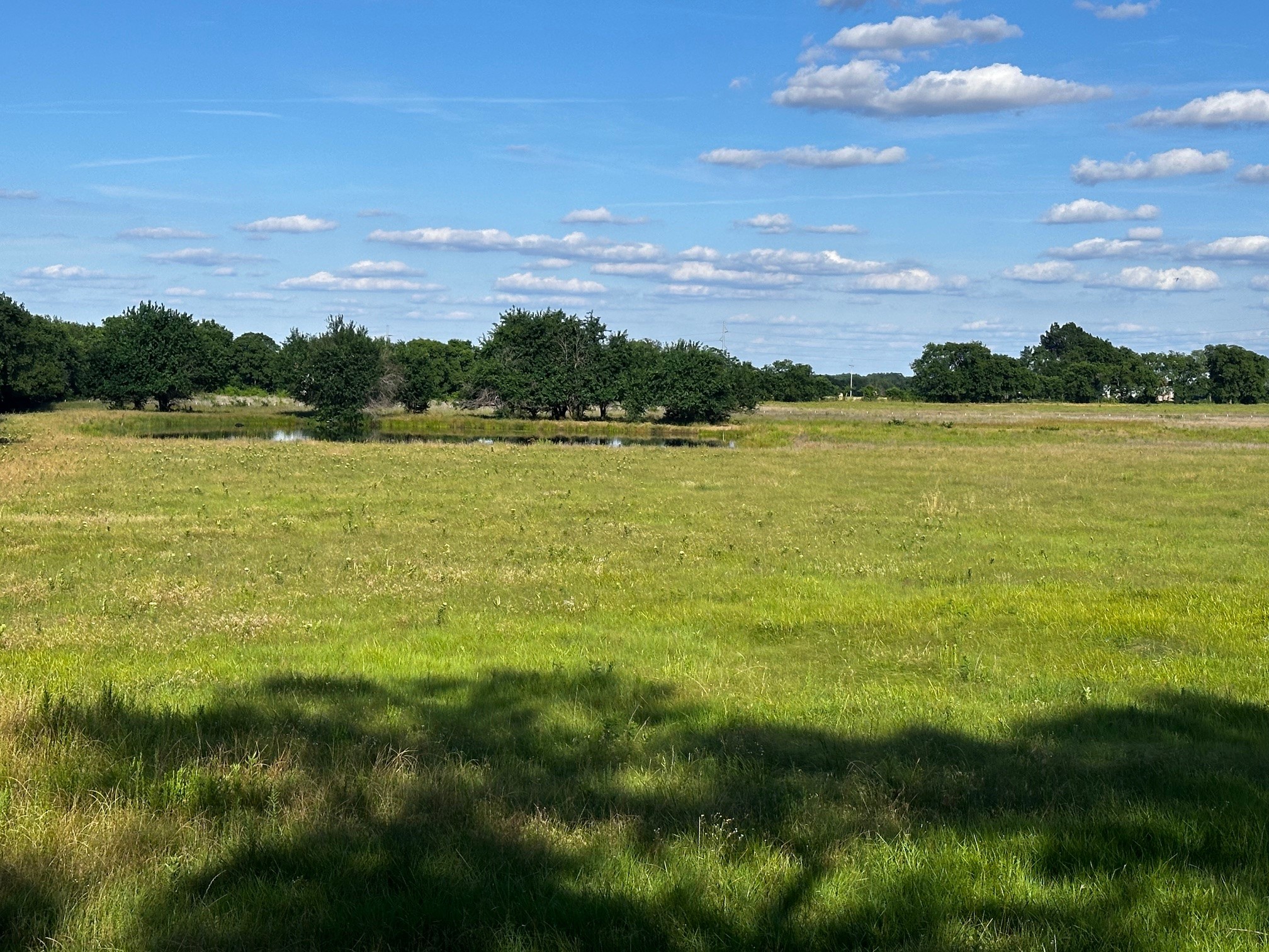 23 +/- Acres County Road 4815 Leonard TX 75452