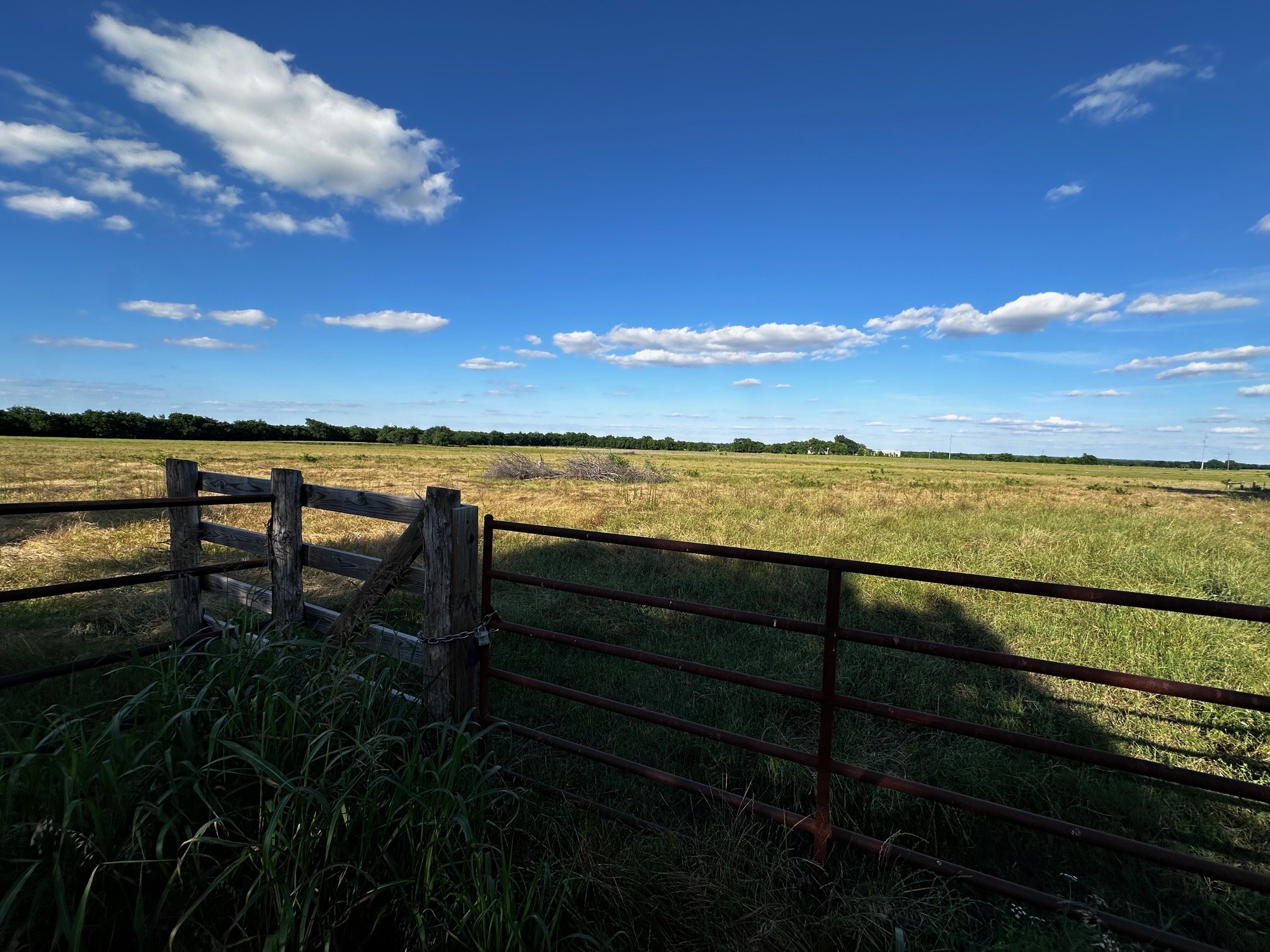 23 +/- Acres County Road 4815 Leonard TX 75452