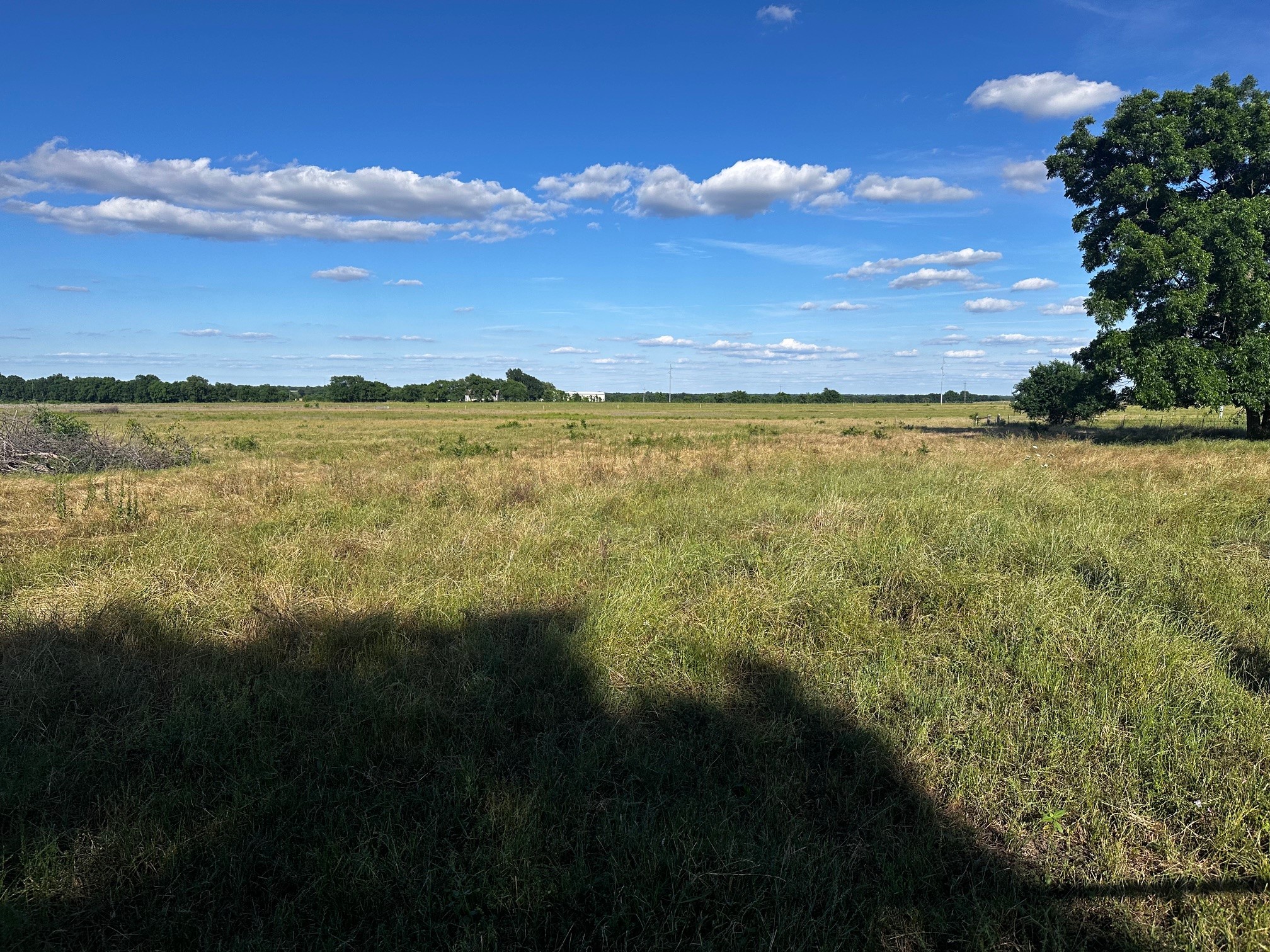 23 +/- Acres County Road 4815 Leonard TX 75452