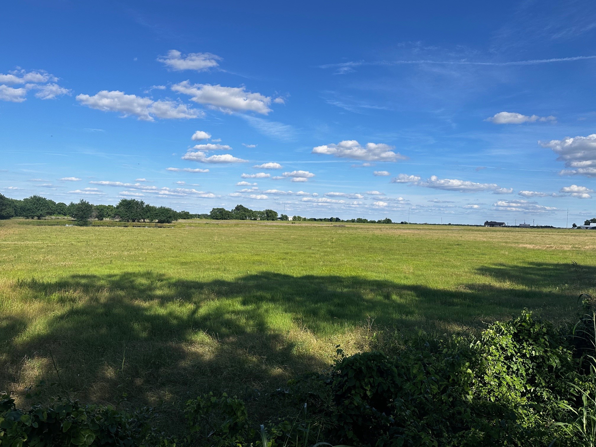23 +/- Acres County Road 4815 Leonard TX 75452