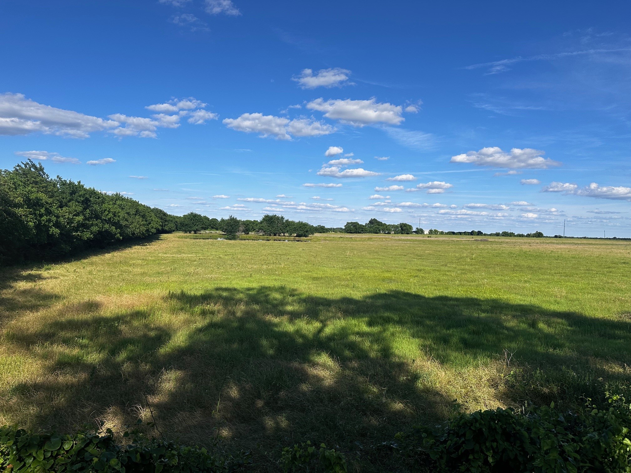 23 +/- Acres County Road 4815 Leonard TX 75452