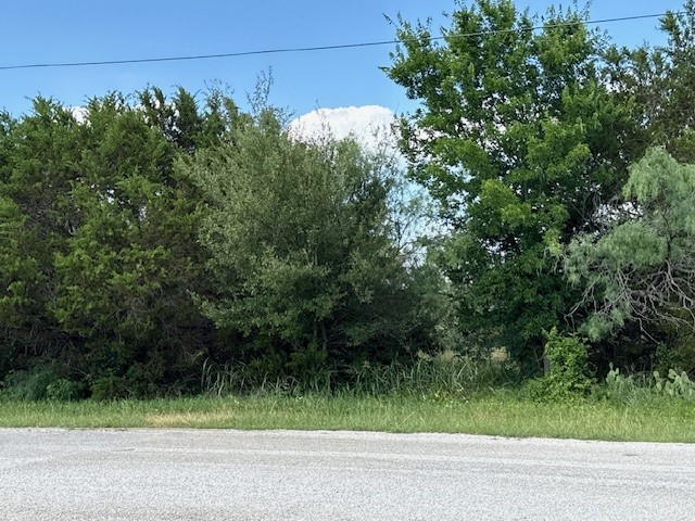 34016 Stonewood Drive Whitney TX 76692