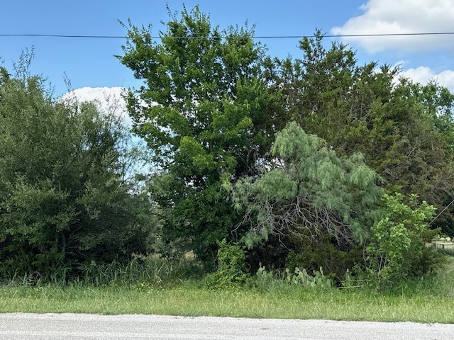 34016 Stonewood Drive Whitney TX 76692