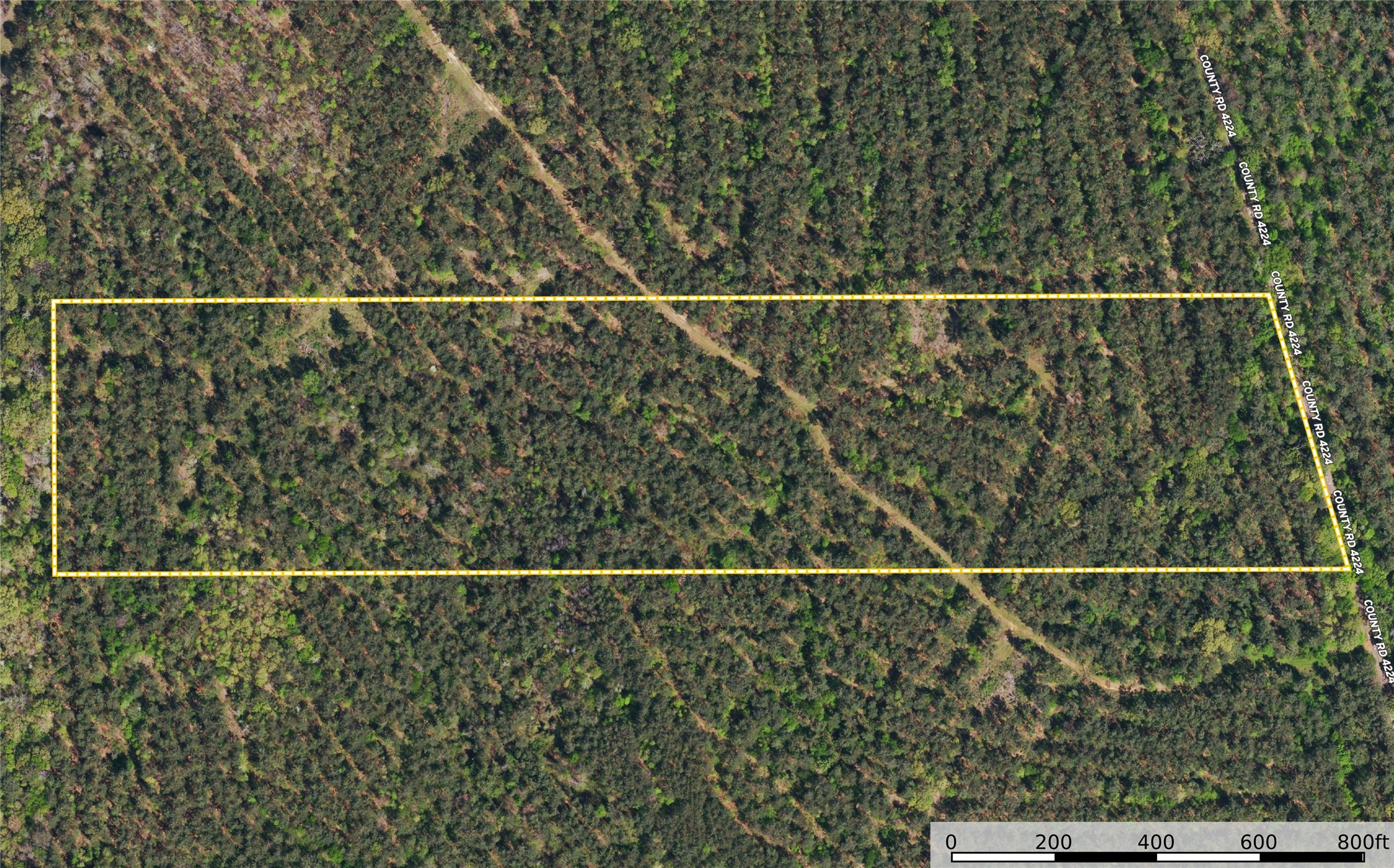 Tract 20 County Road 4224 Frankston TX 75763