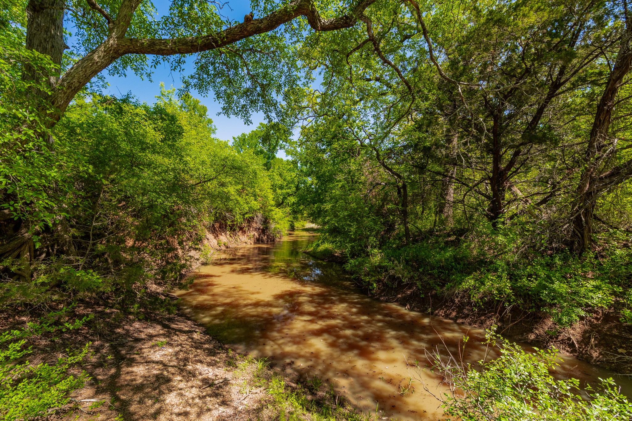 551 County Road 121 Coleman TX 76834