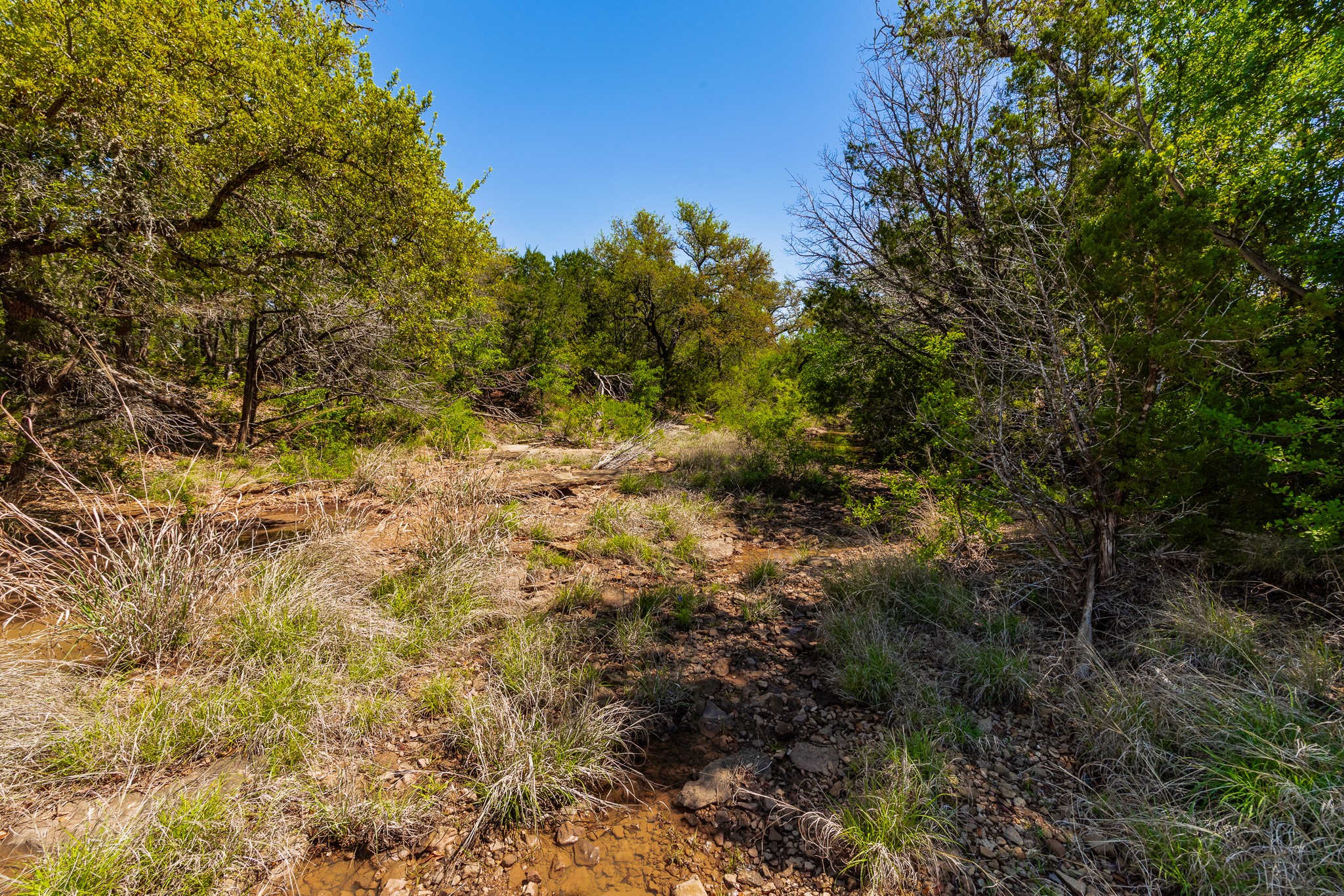 551 County Road 121 Coleman TX 76834