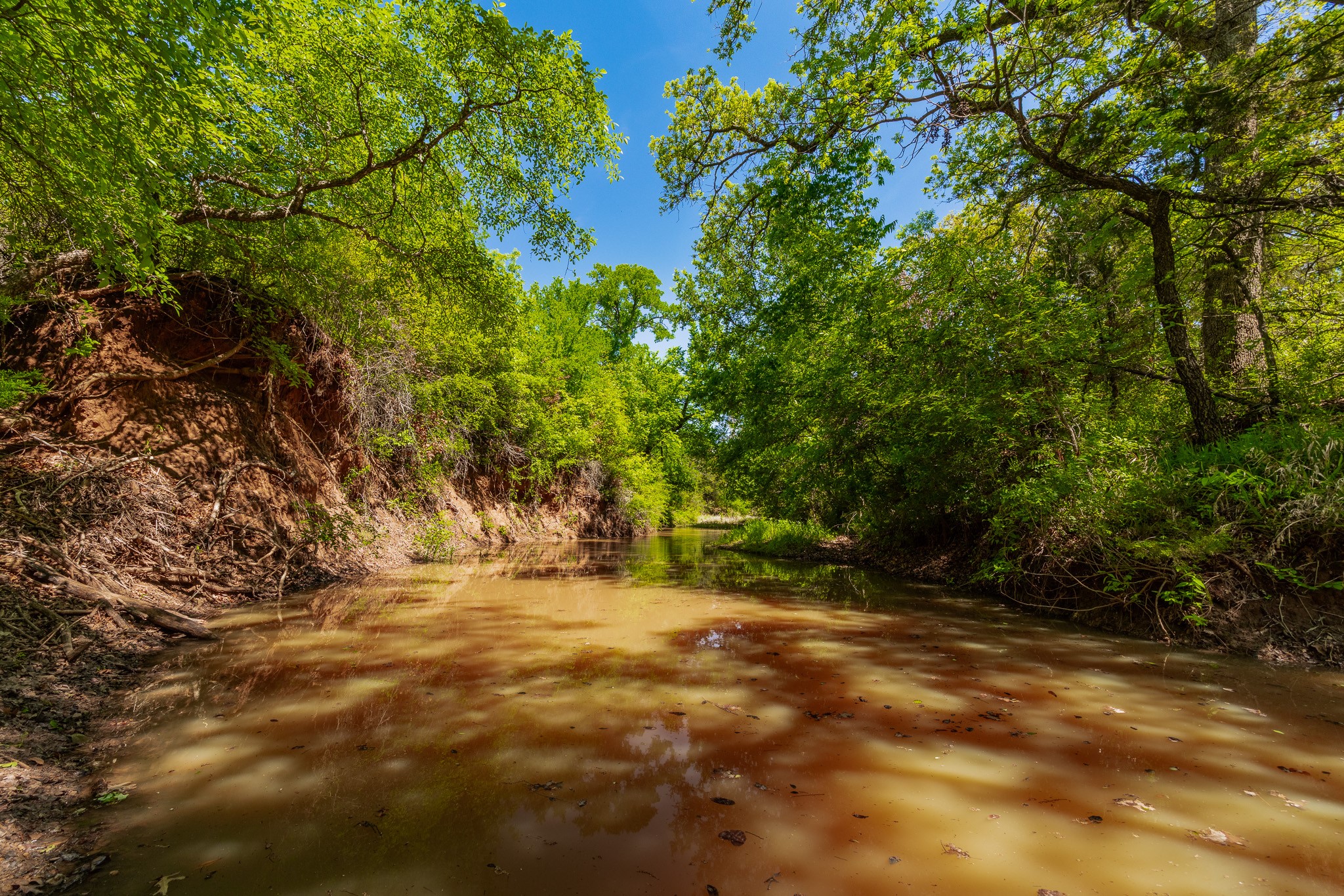 551 County Road 121 Coleman TX 76834