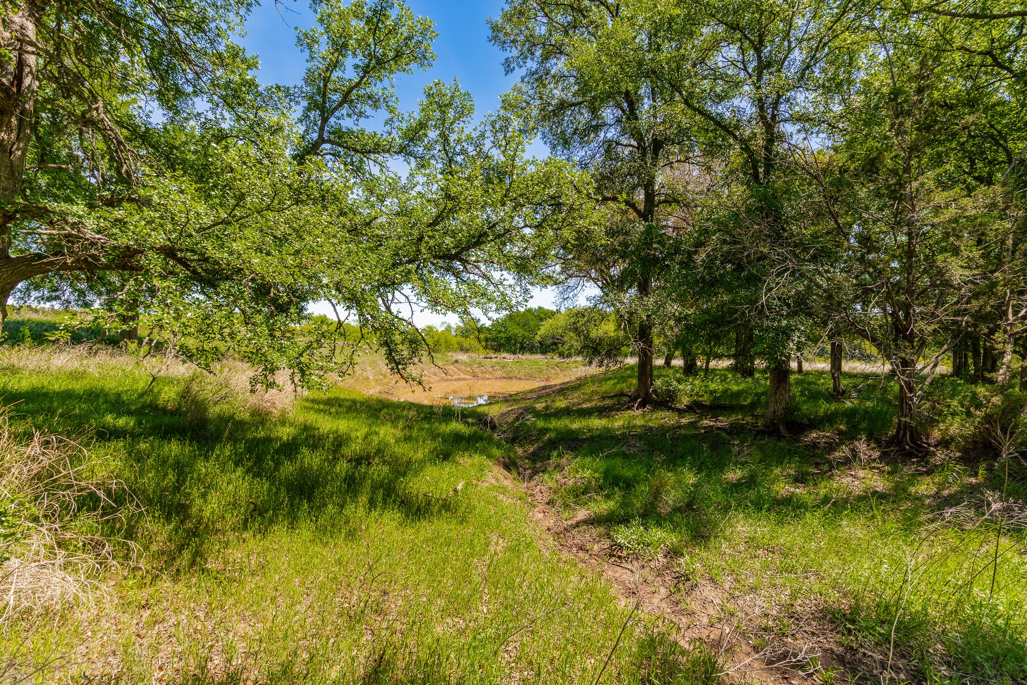 551 County Road 121 Coleman TX 76834