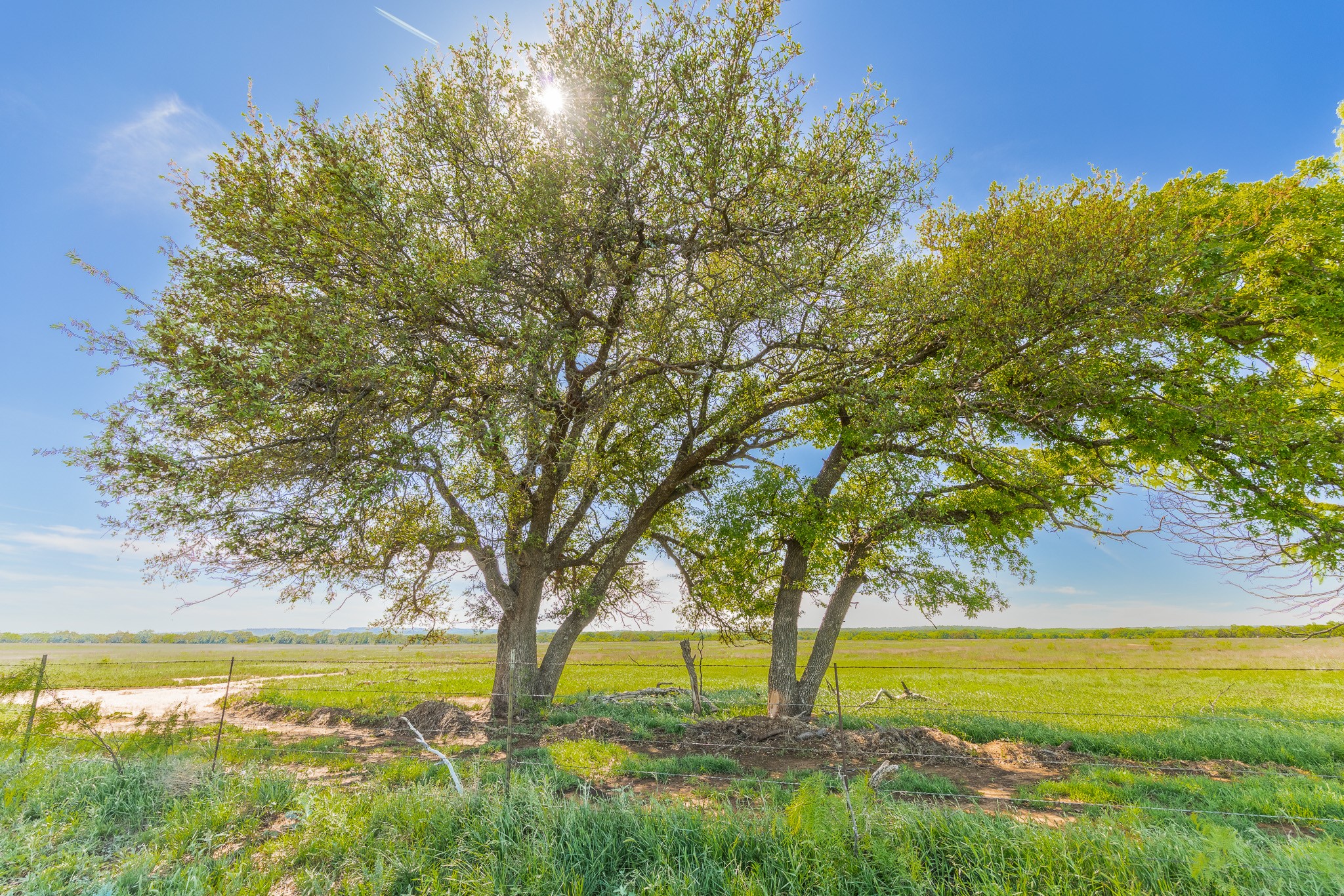 551 County Road 121 Coleman TX 76834