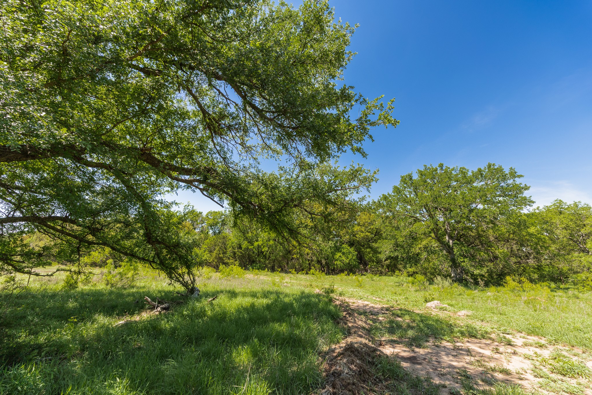 551 County Road 121 Coleman TX 76834