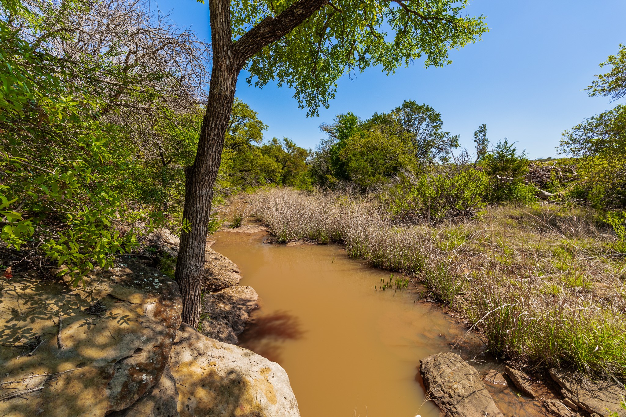 551 County Road 121 Coleman TX 76834