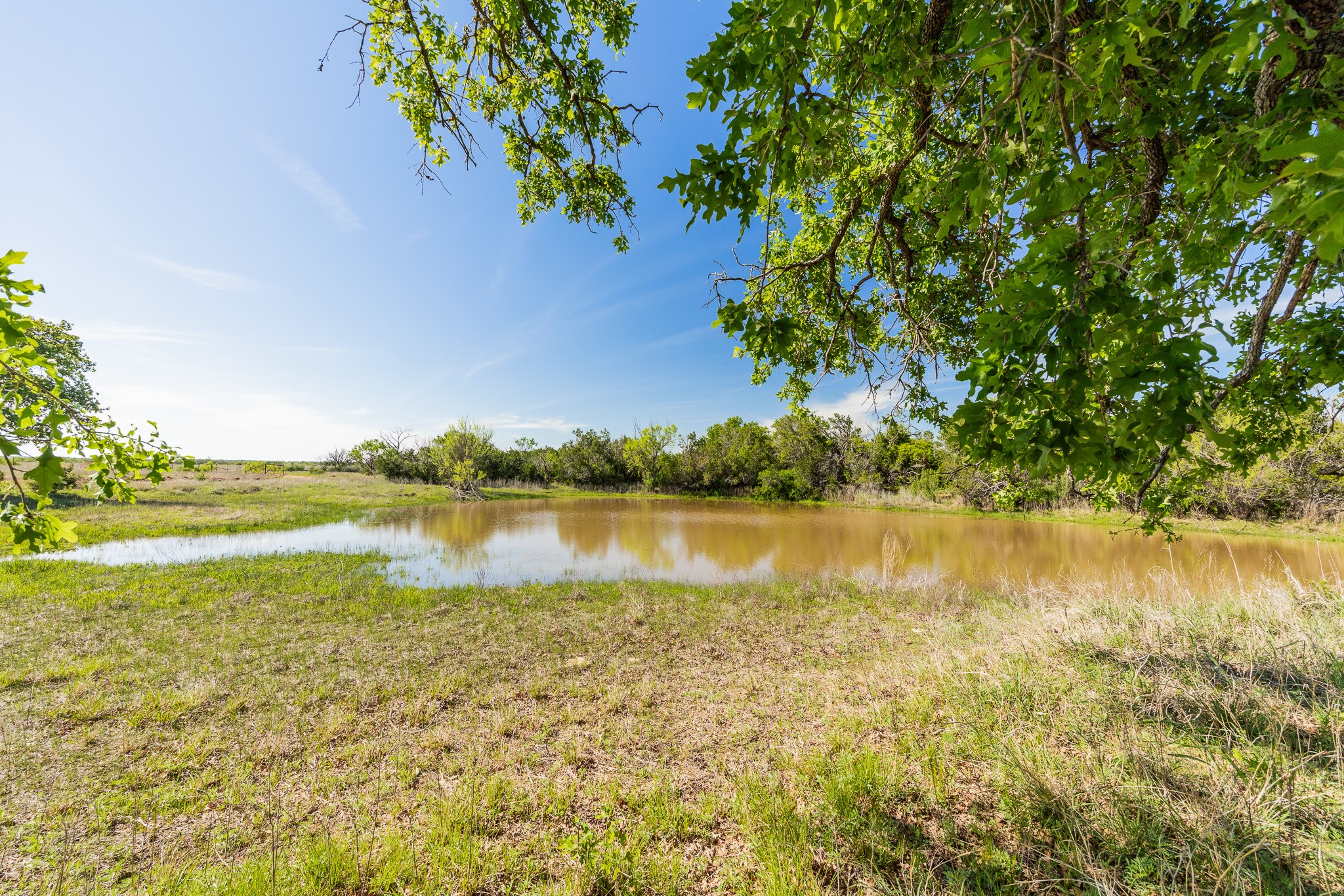 551 County Road 121 Coleman TX 76834
