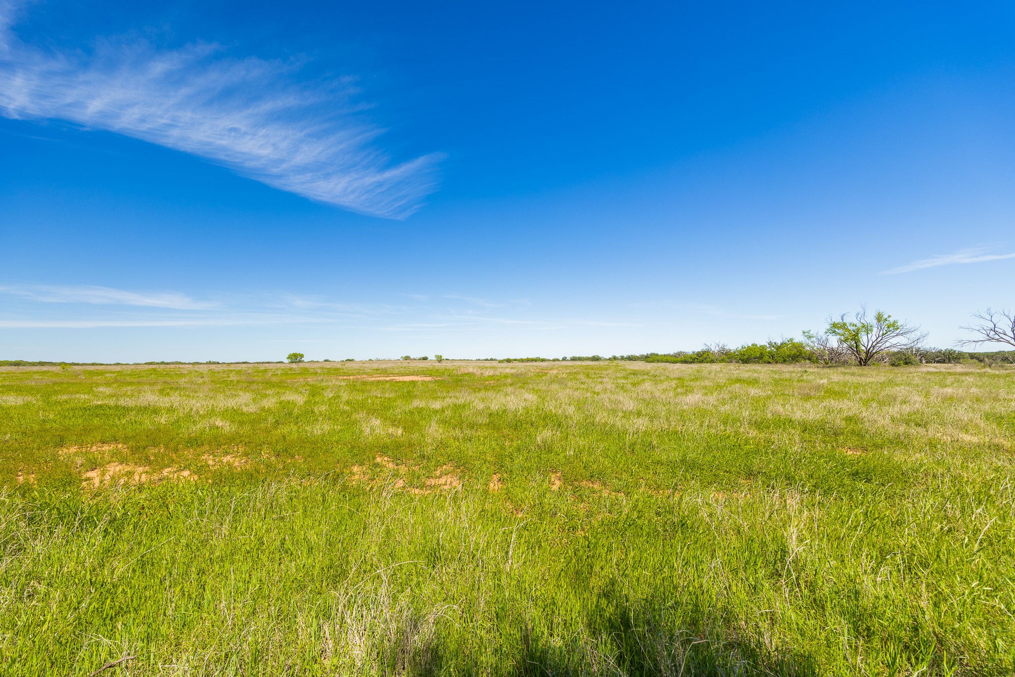 551 County Road 121 Coleman TX 76834