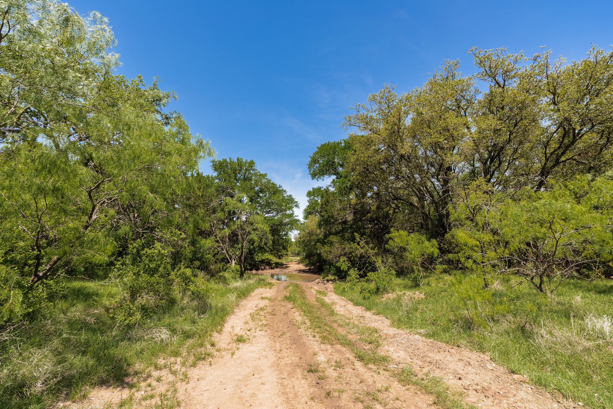 551 County Road 121 Coleman TX 76834