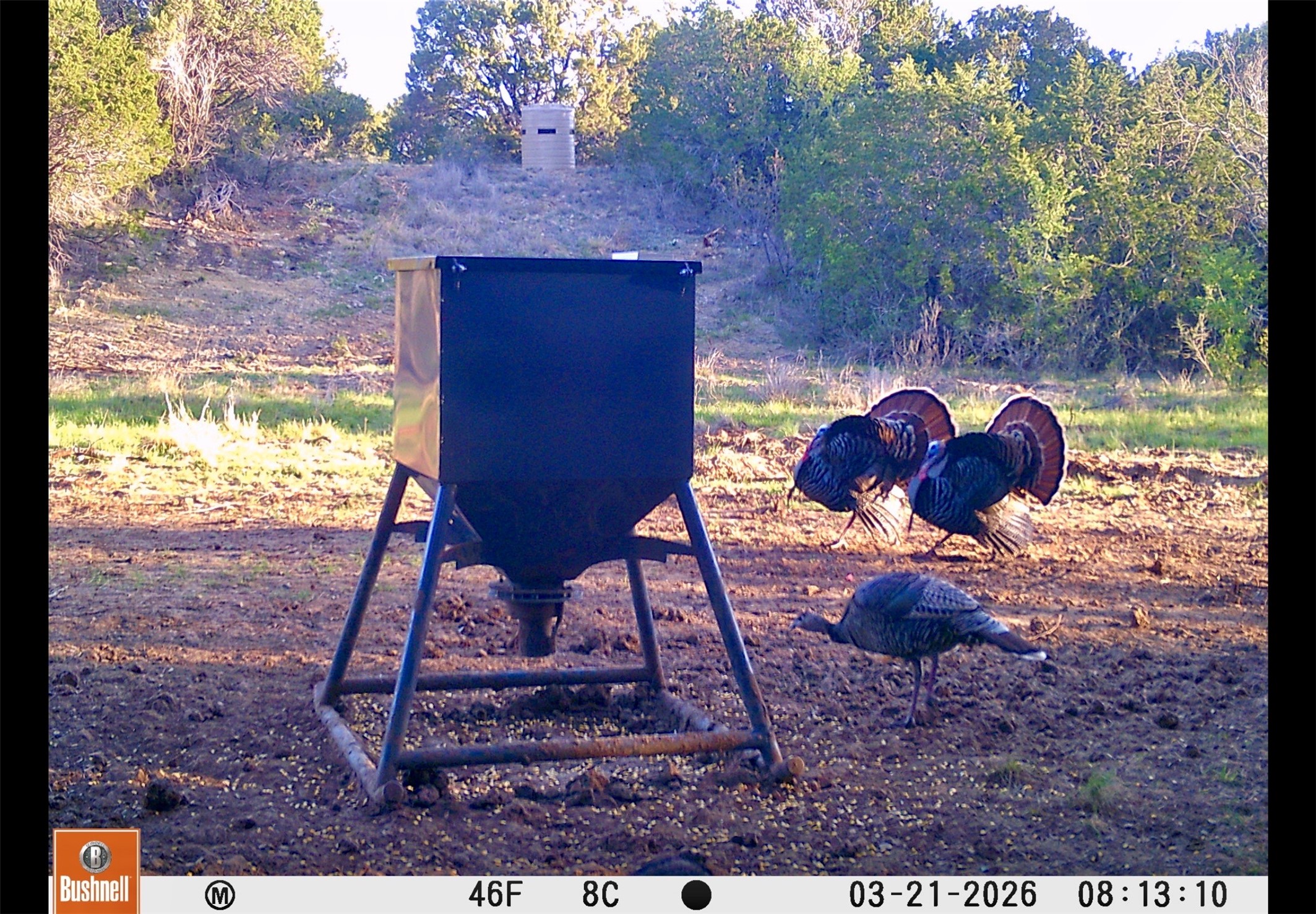 551 County Road 121 Coleman TX 76834