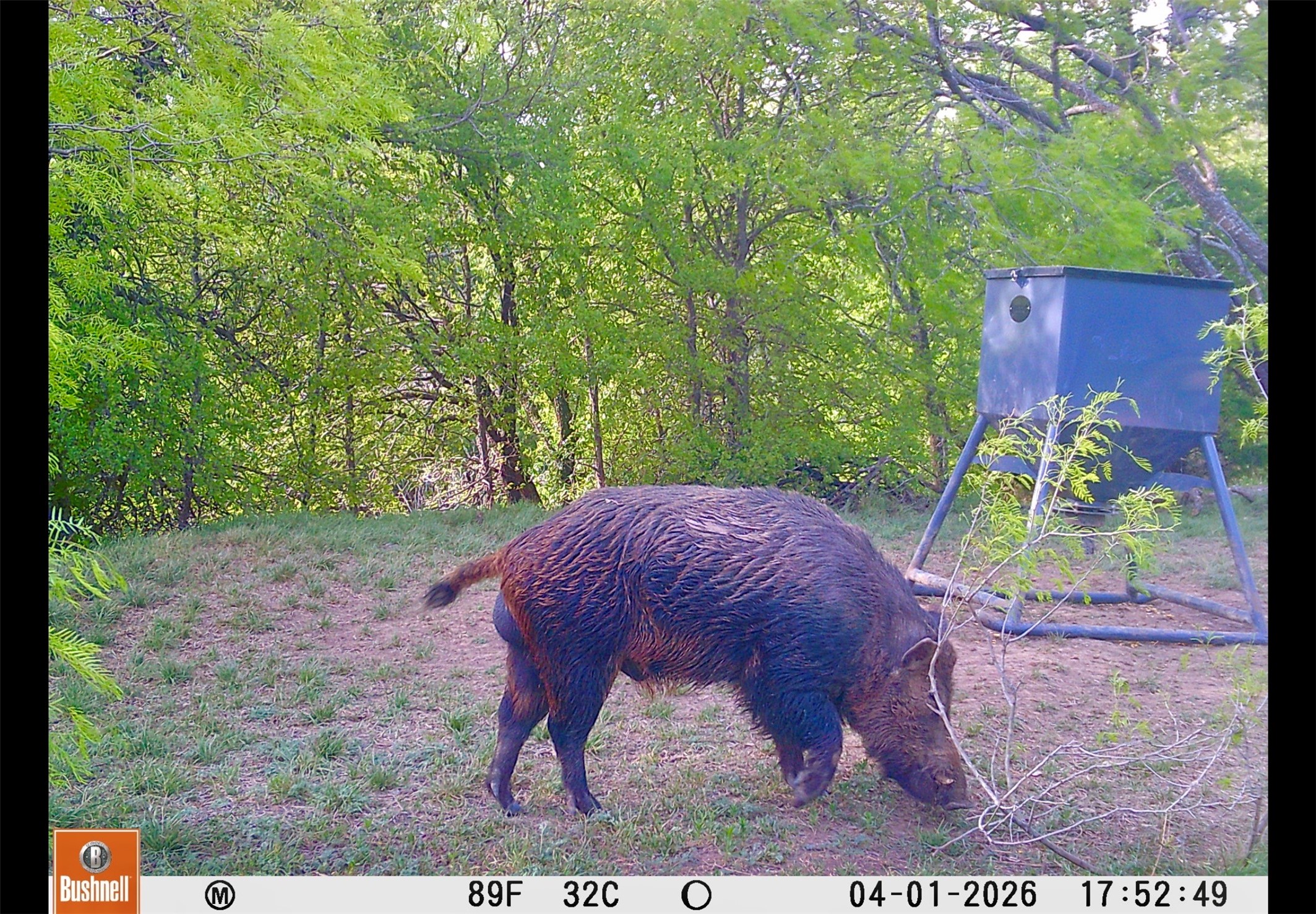 551 County Road 121 Coleman TX 76834