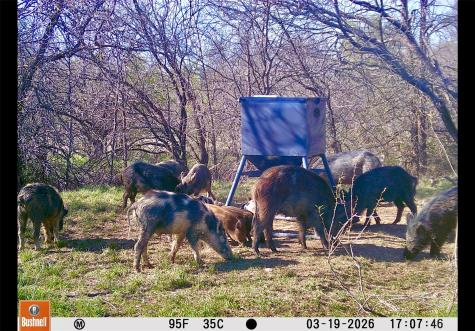551 County Road 121 Coleman TX 76834