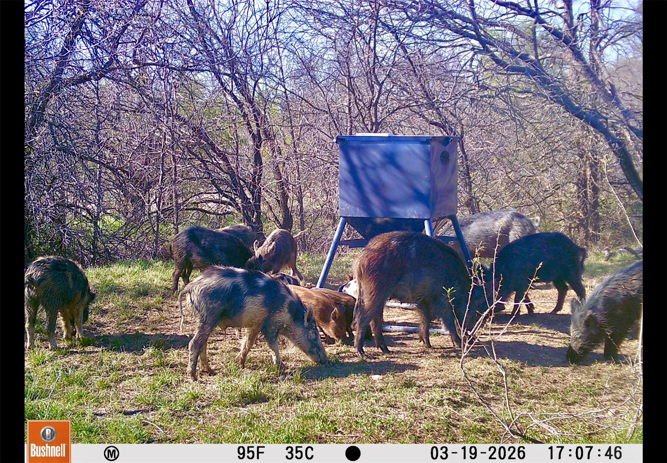 551 County Road 121 Coleman TX 76834